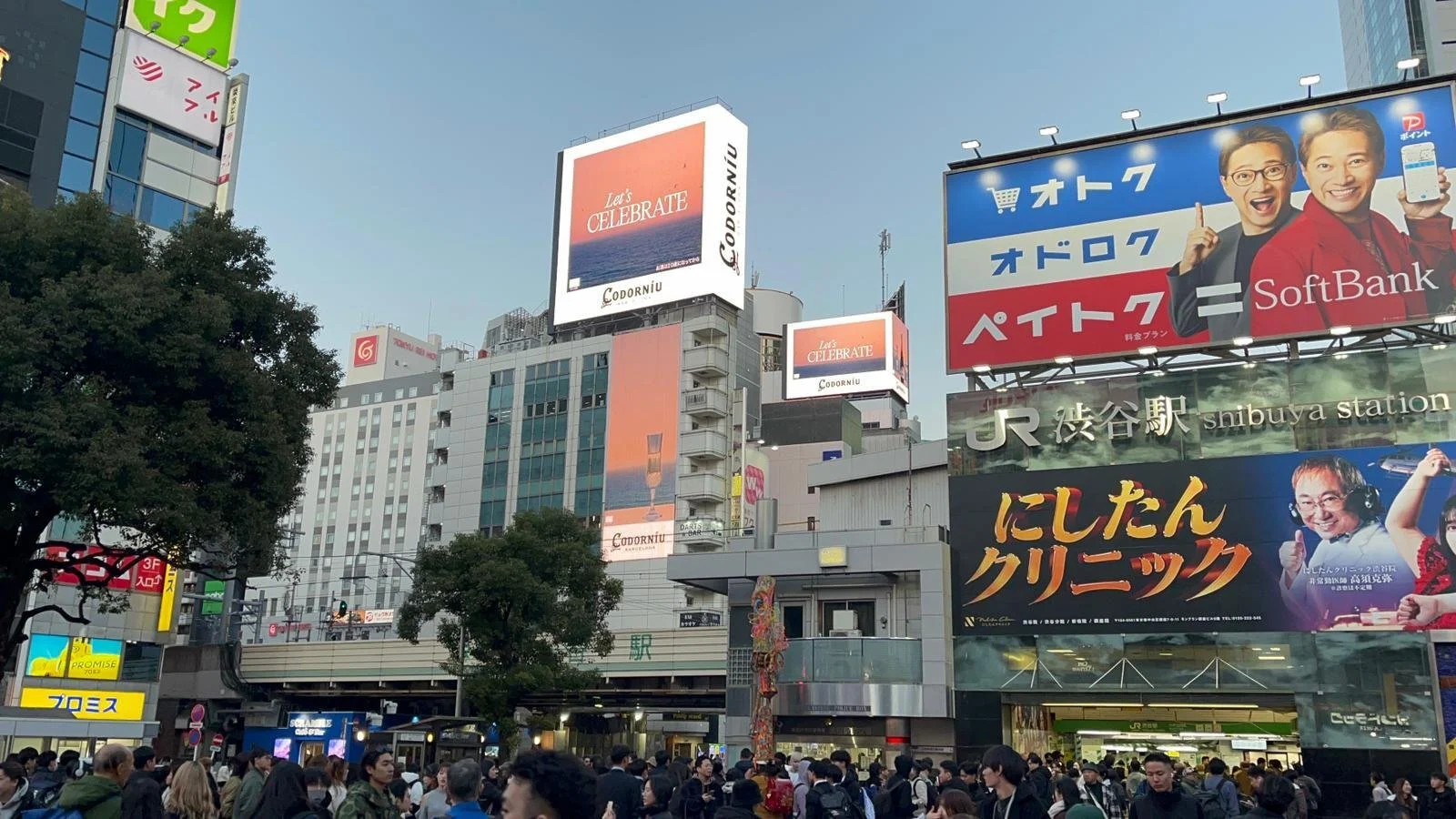 WhatsApp Image 2024-12-09 at 08.46.56.jpeg