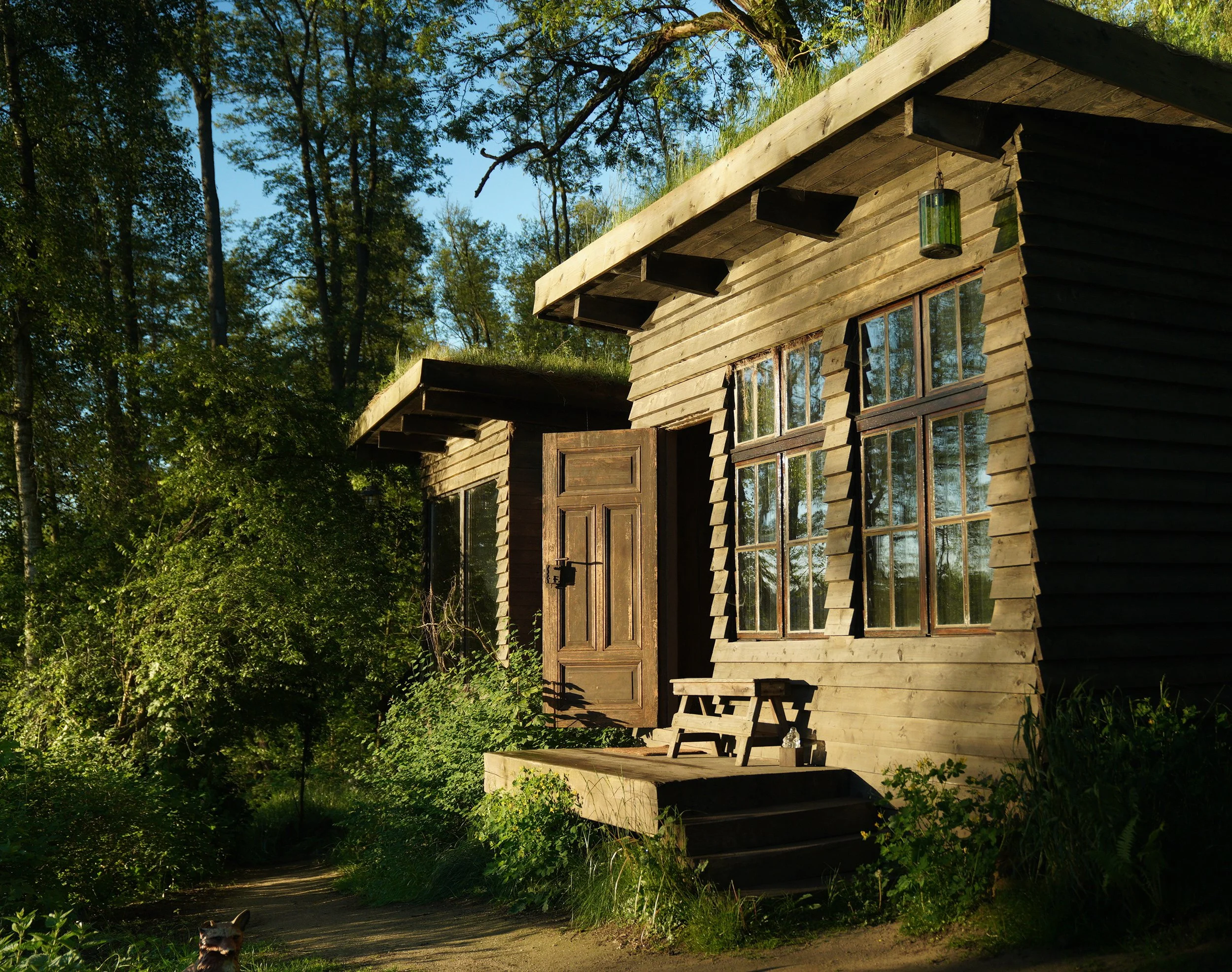 A rustic house with wooden exterior walls, large windows, and a small porch in a forested setting during daytime.