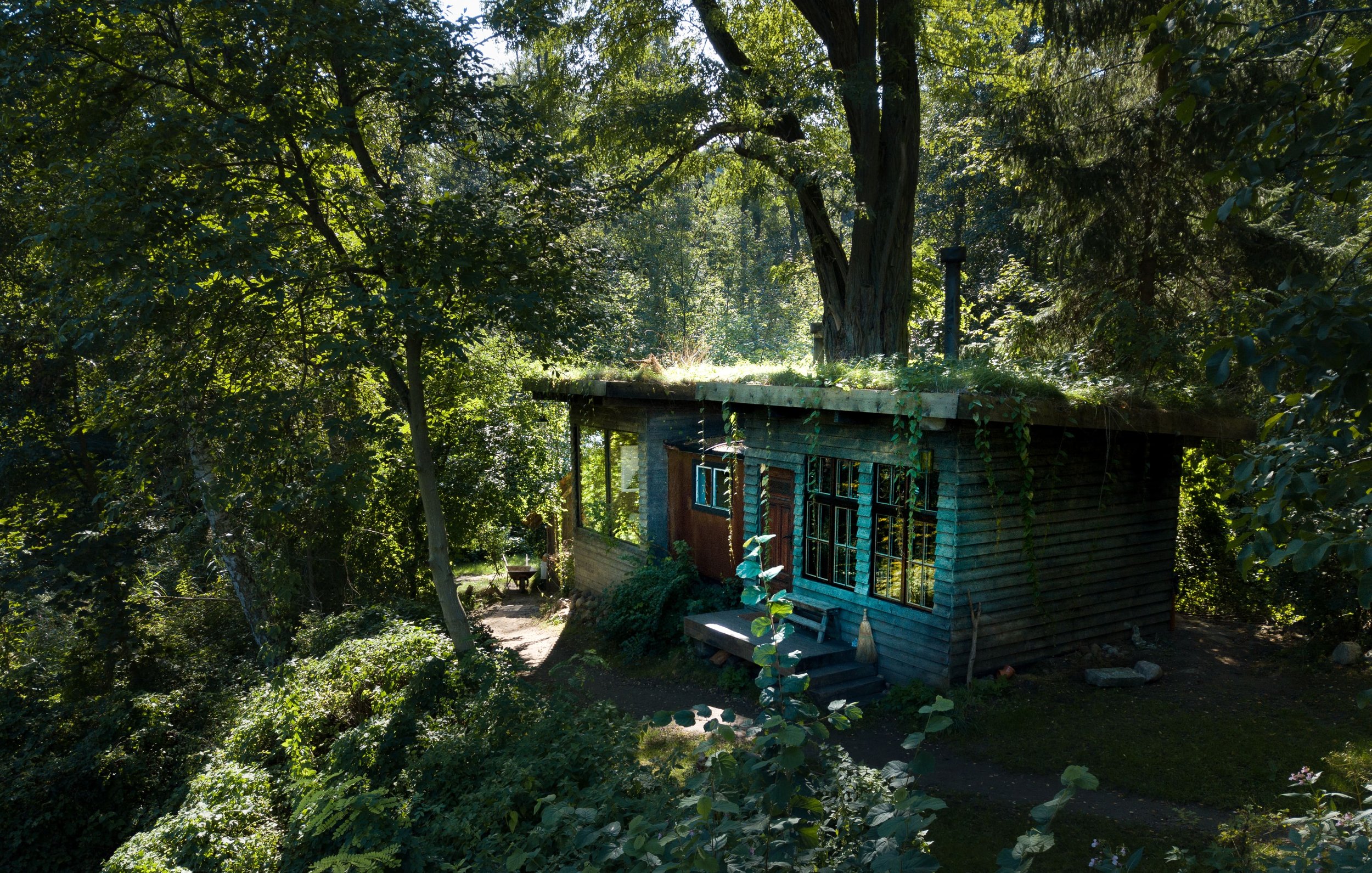 A small wooden house surrounded by trees and lush greenery, with large windows and a porch, in a forest setting.