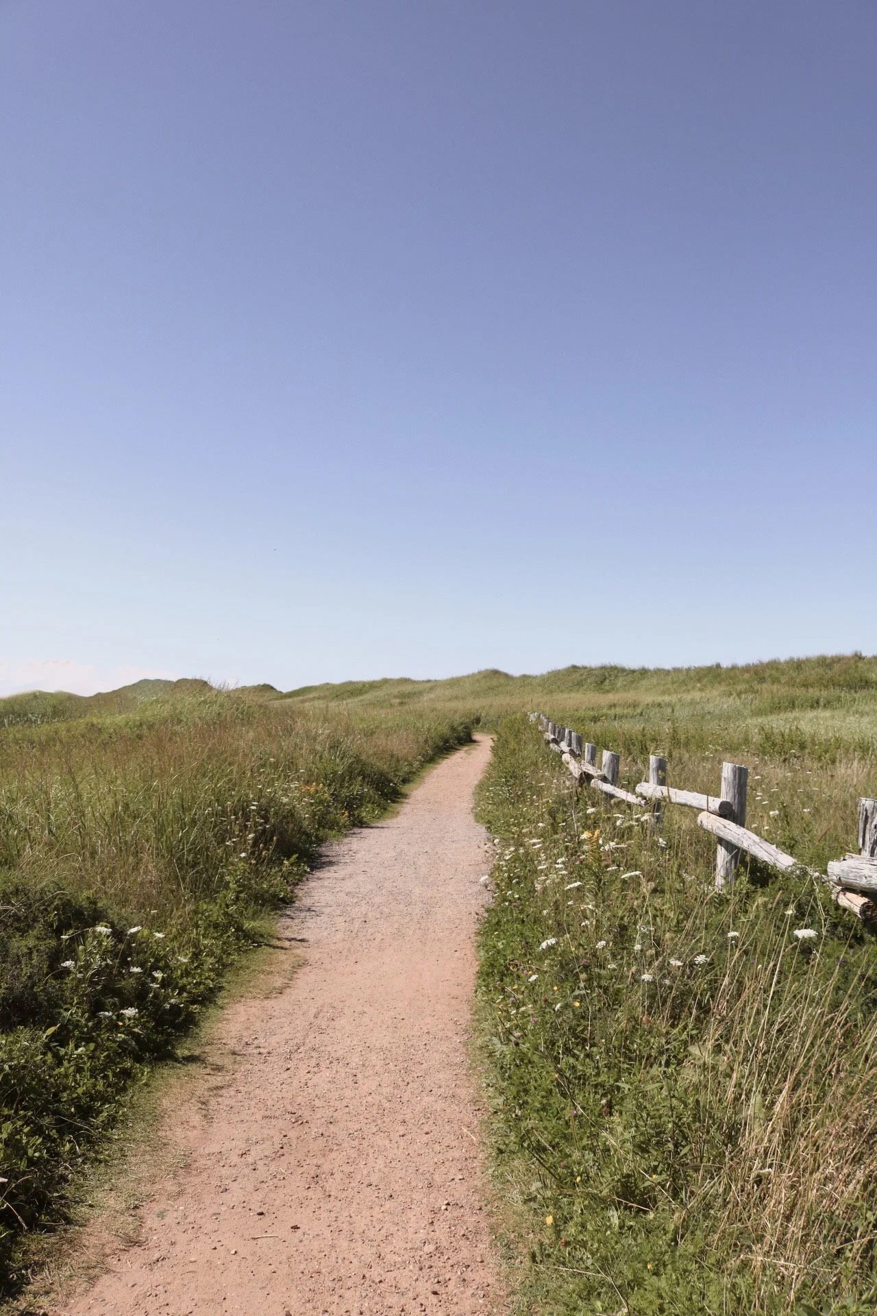 A dirt trail runs through grassy fields with a wooden fence on the right side under a clear blue sky.