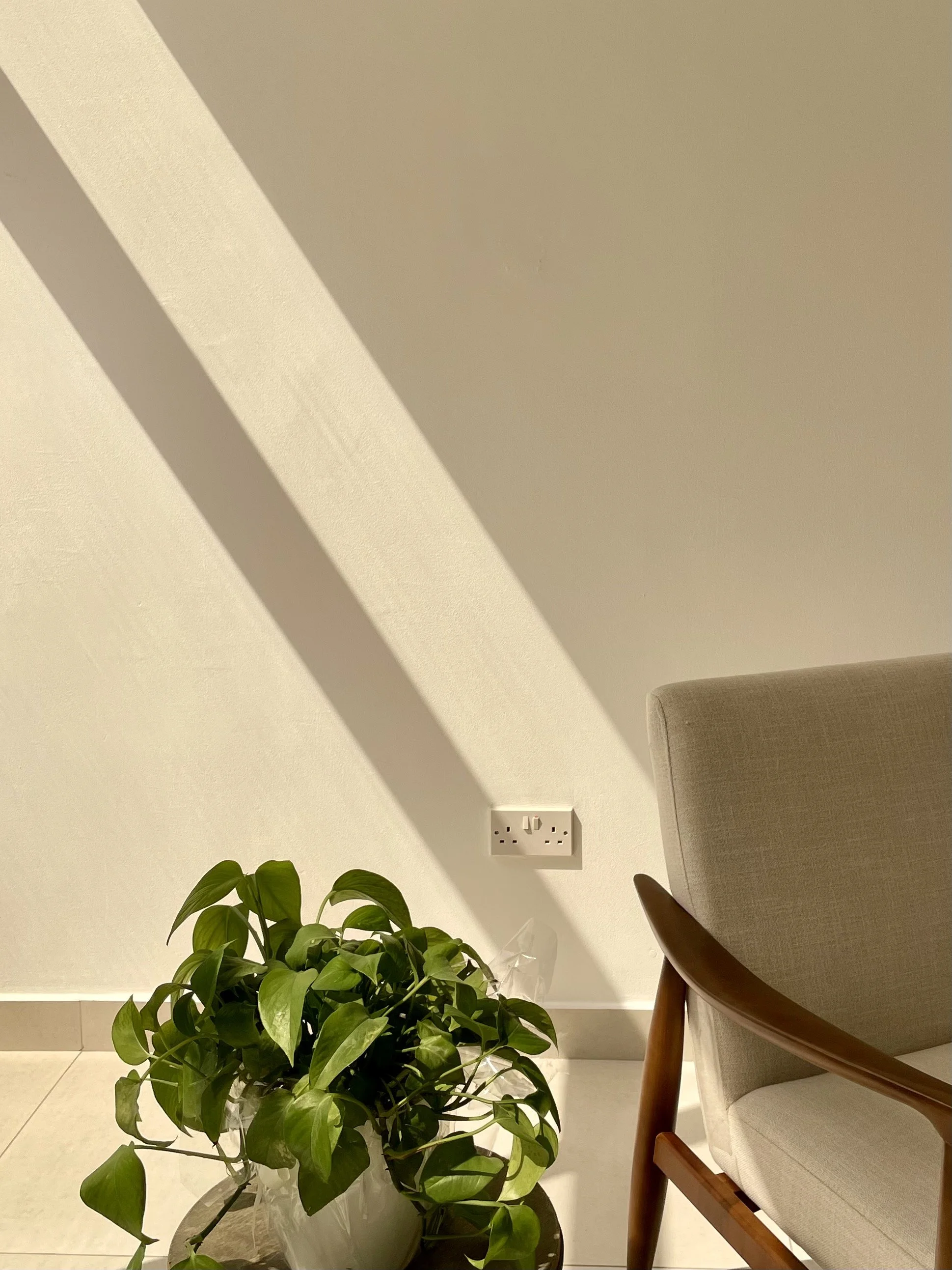 A green potted plant sitting on the floor next to a beige upholstered chair with wooden arms. There is a wall socket on the wall behind the plant and chair, with shadows cast on the wall.