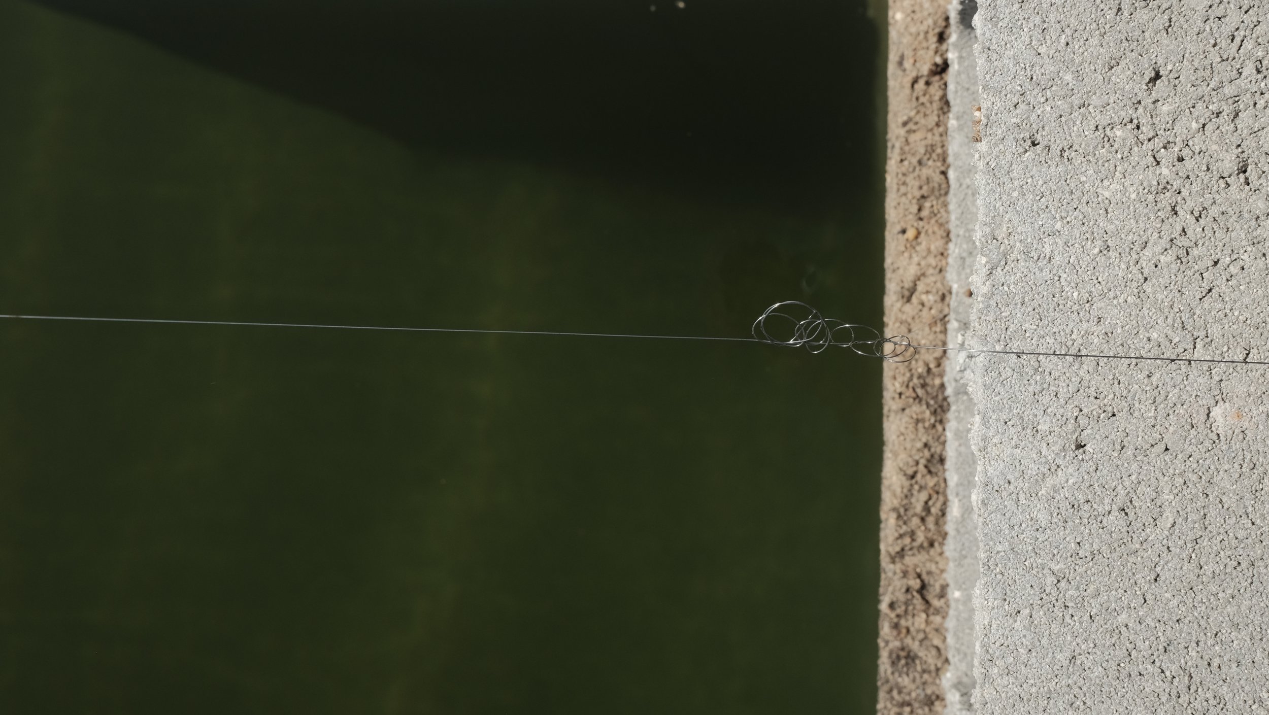 _DSF2781.JPG