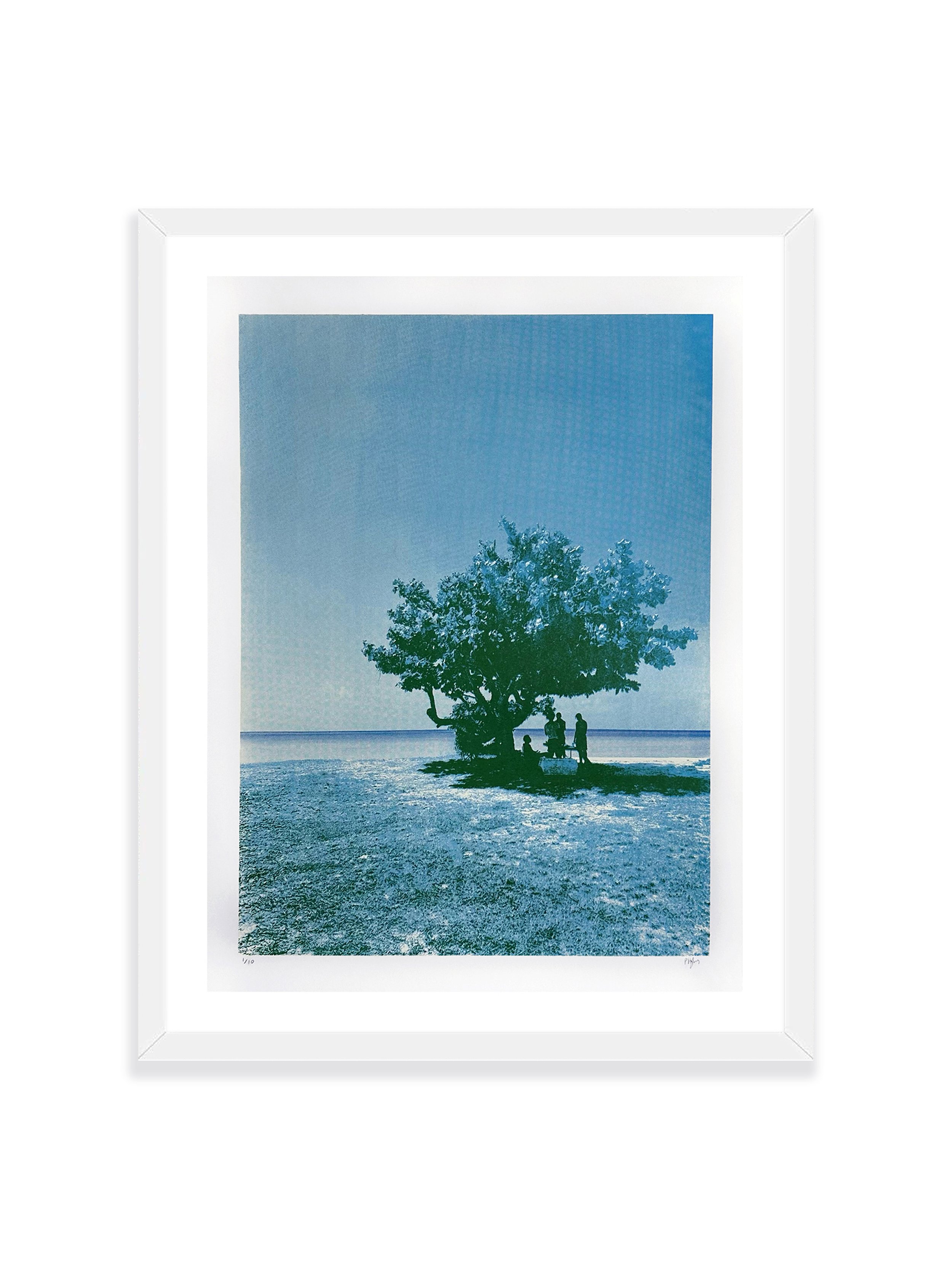 Summer Shade
