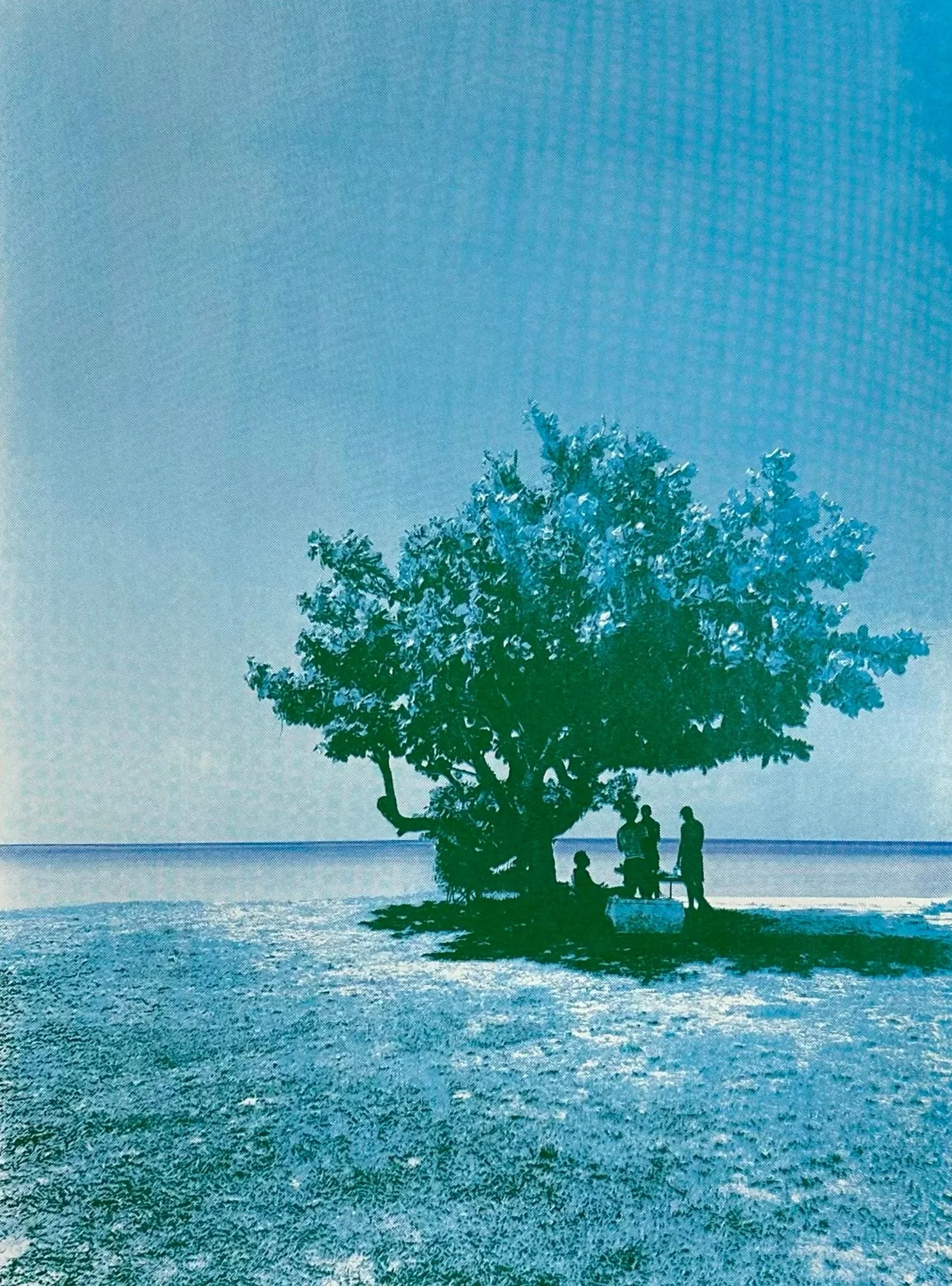 Summer+Shade+Catalogue.jpg