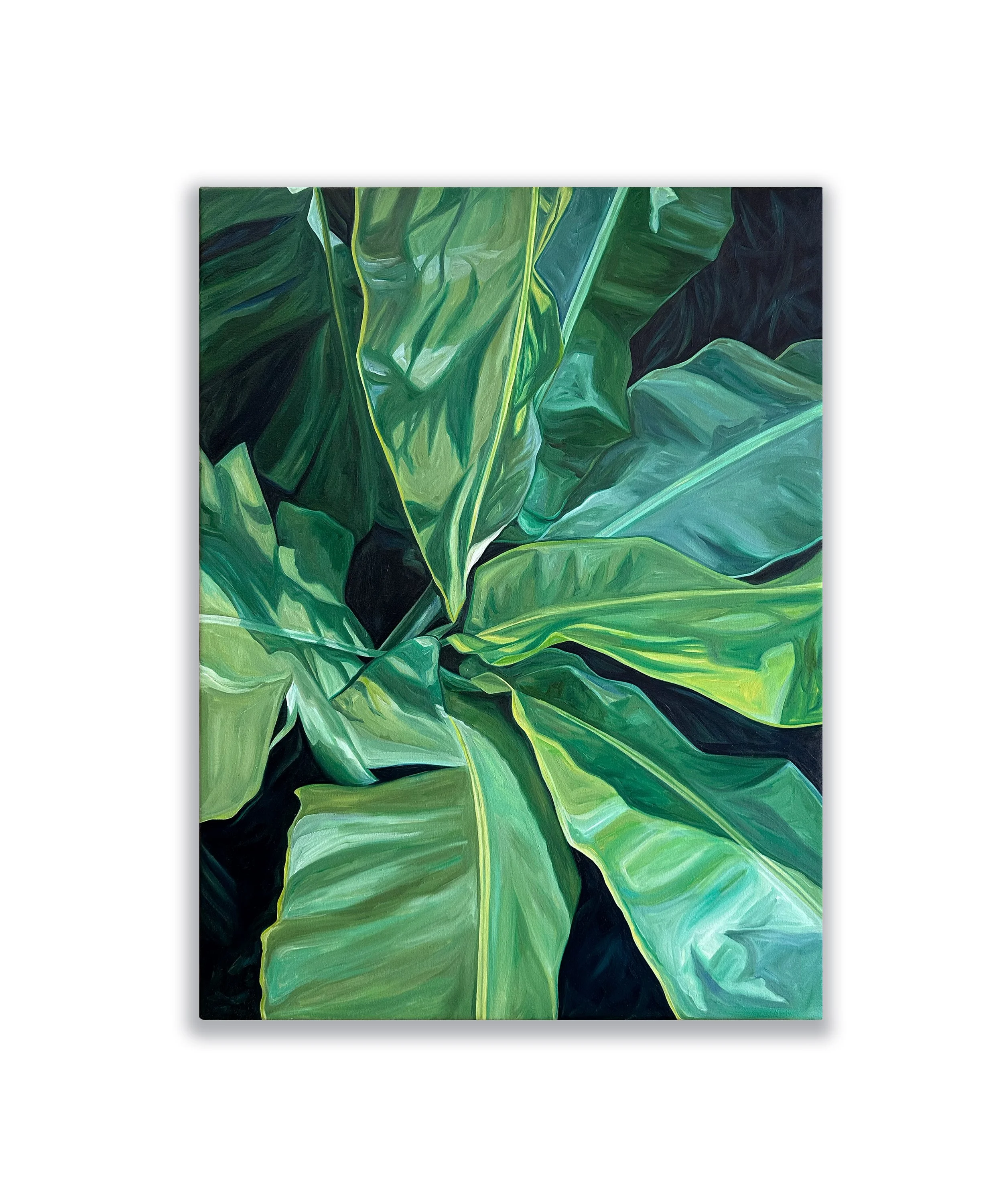 Chasing the Wind, 2025, 60cm x 80cm, Oil on Canvas