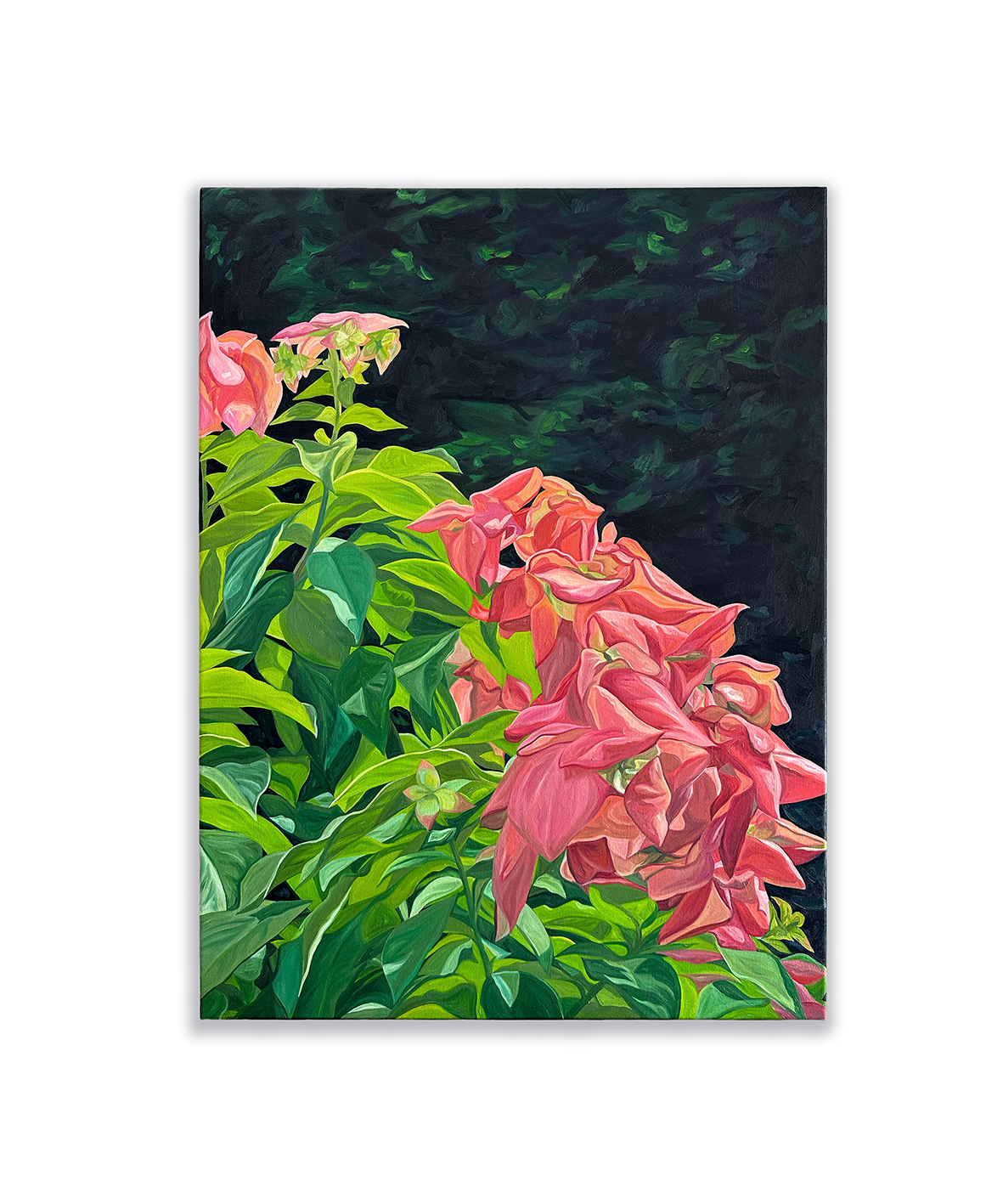 Flowers in Fold, 2025, 60cm x 80cm, Oil on Canvas