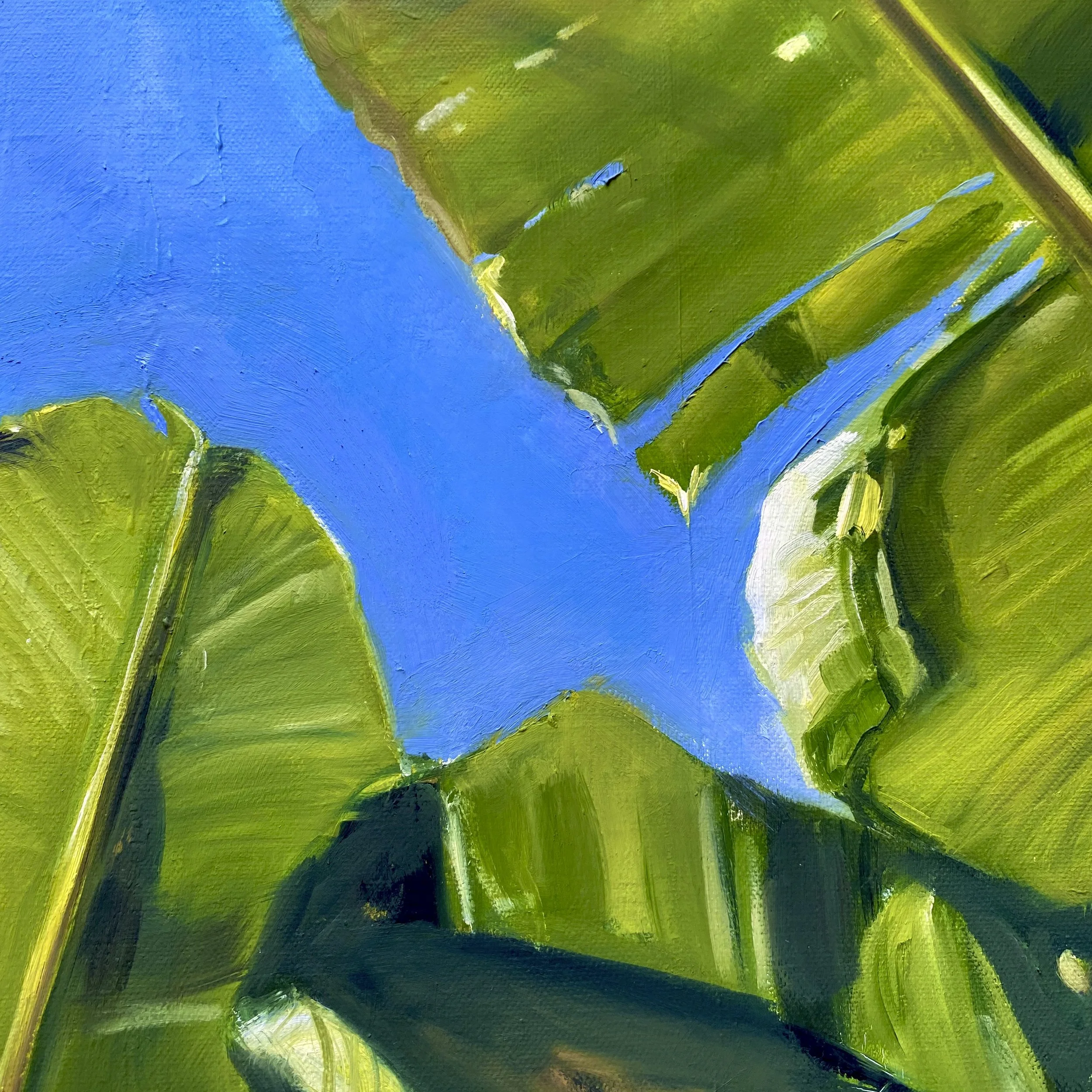 Bananenblatt 1 - detail 1