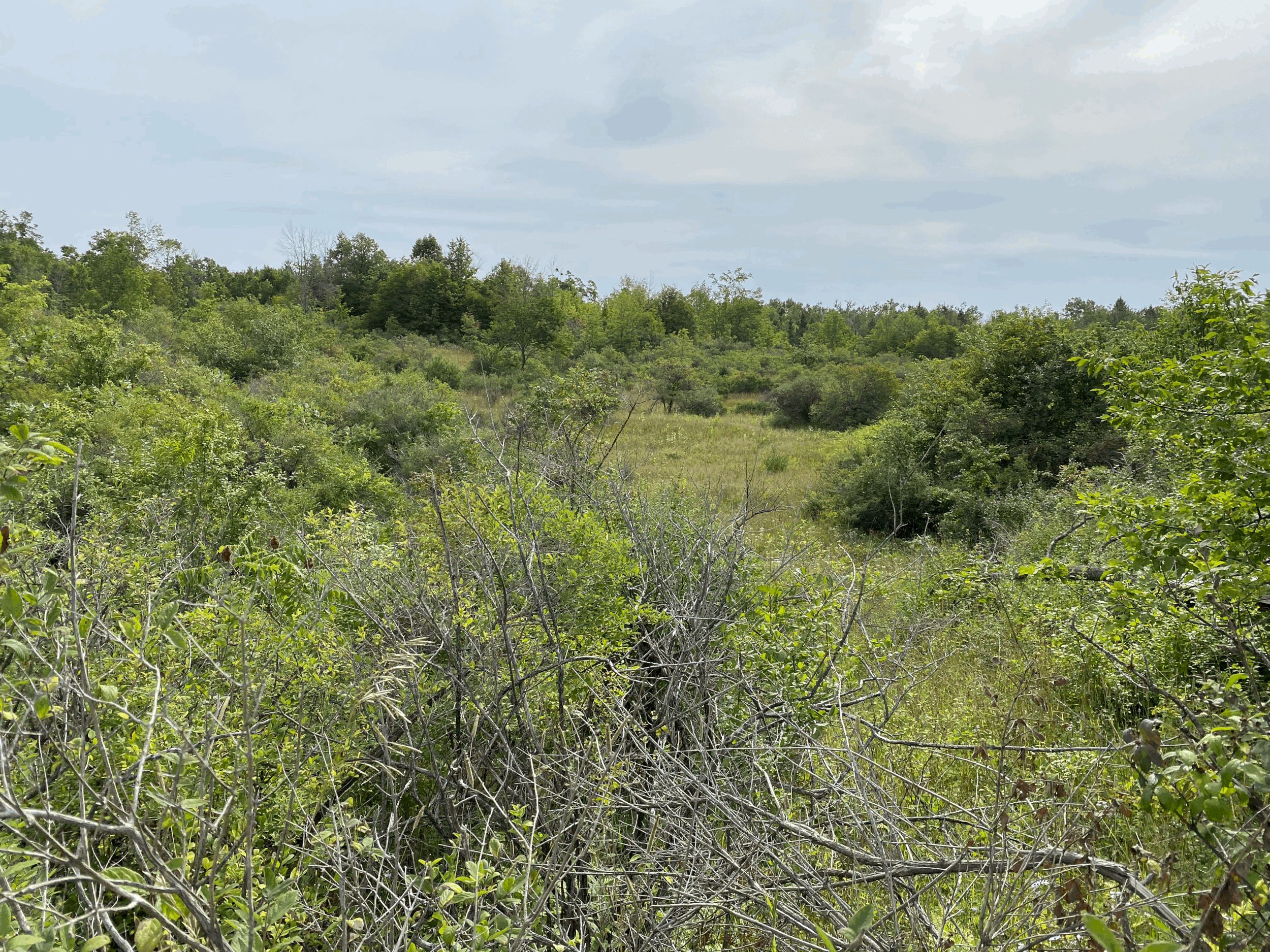 Where the Art Begins Vol 1
