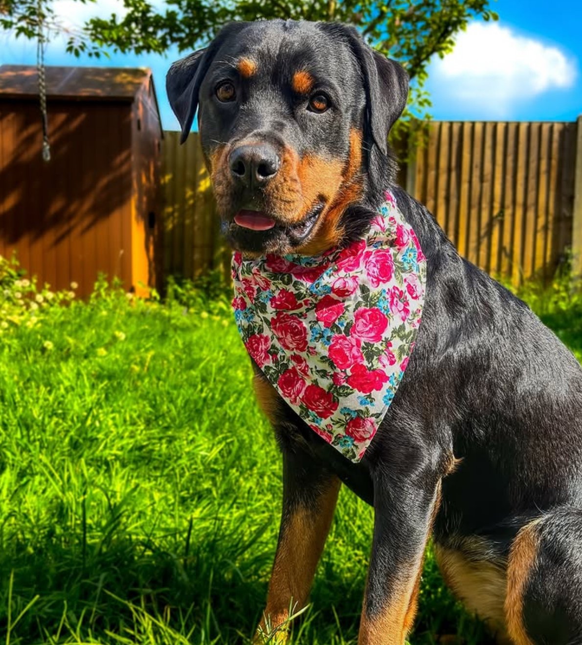 Bandana - Fur-tastic Florals Pink