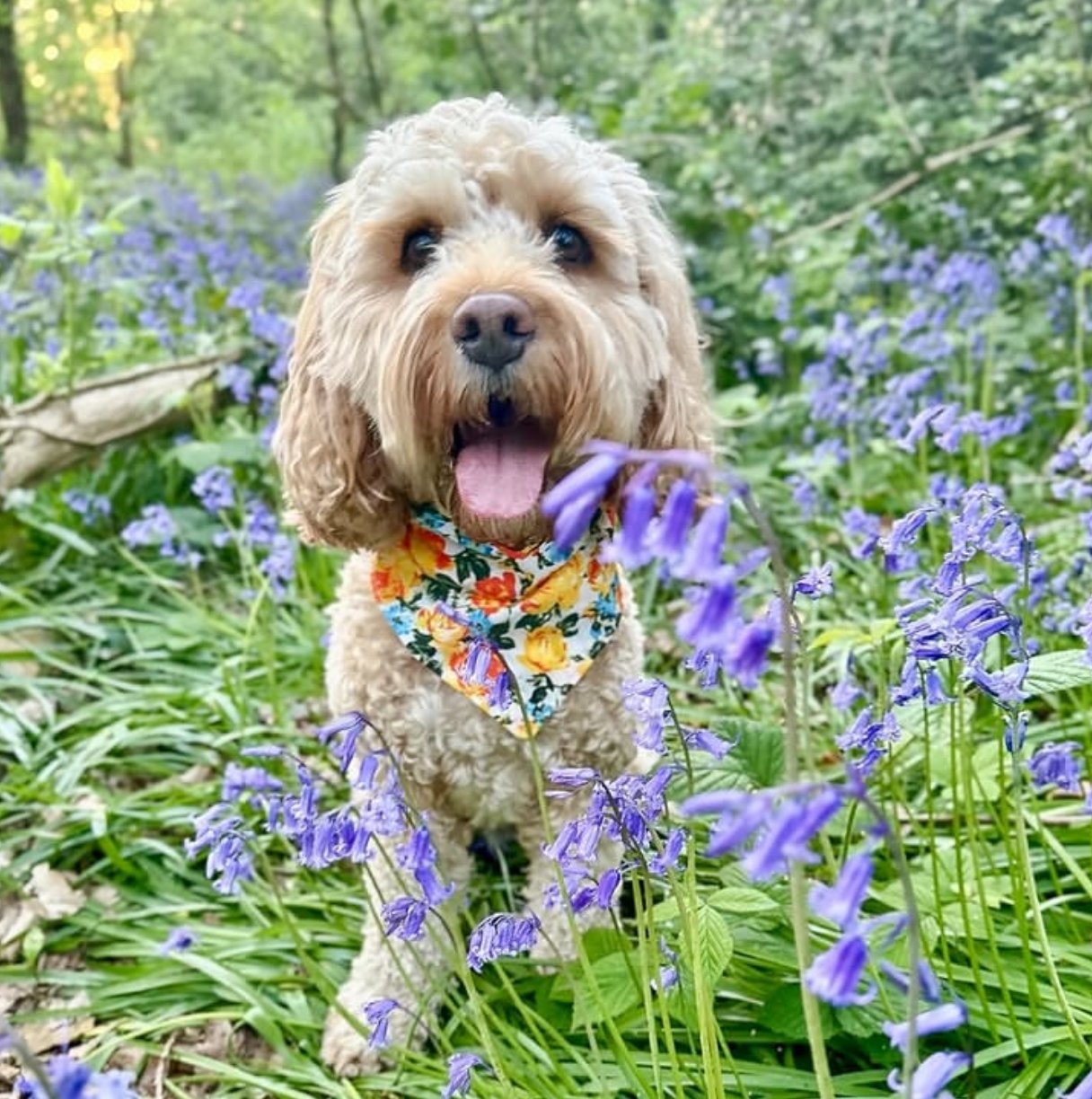 Bandana - Fur-tastic Florals Yellow