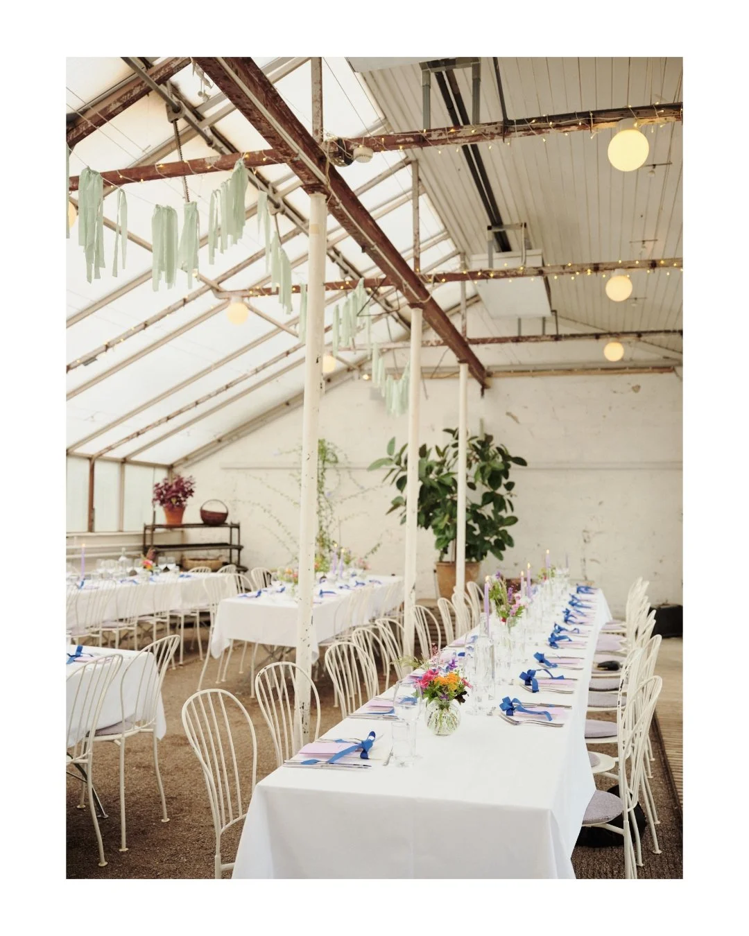 a wedding at Bergius botanic garden .

br&ouml;llopsfotograf stockholm, documentary wedding photography, br&ouml;llop bergianska tr&auml;dg&aring;rden