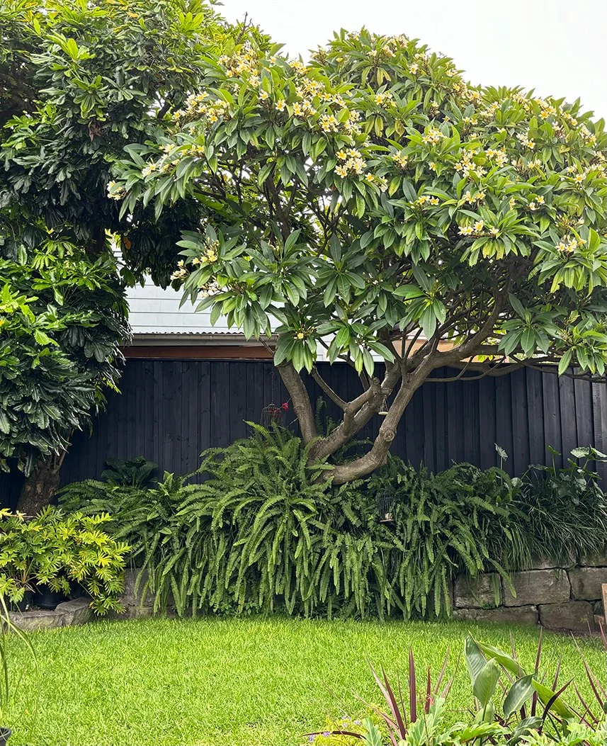 Garden 1_25pc.jpg