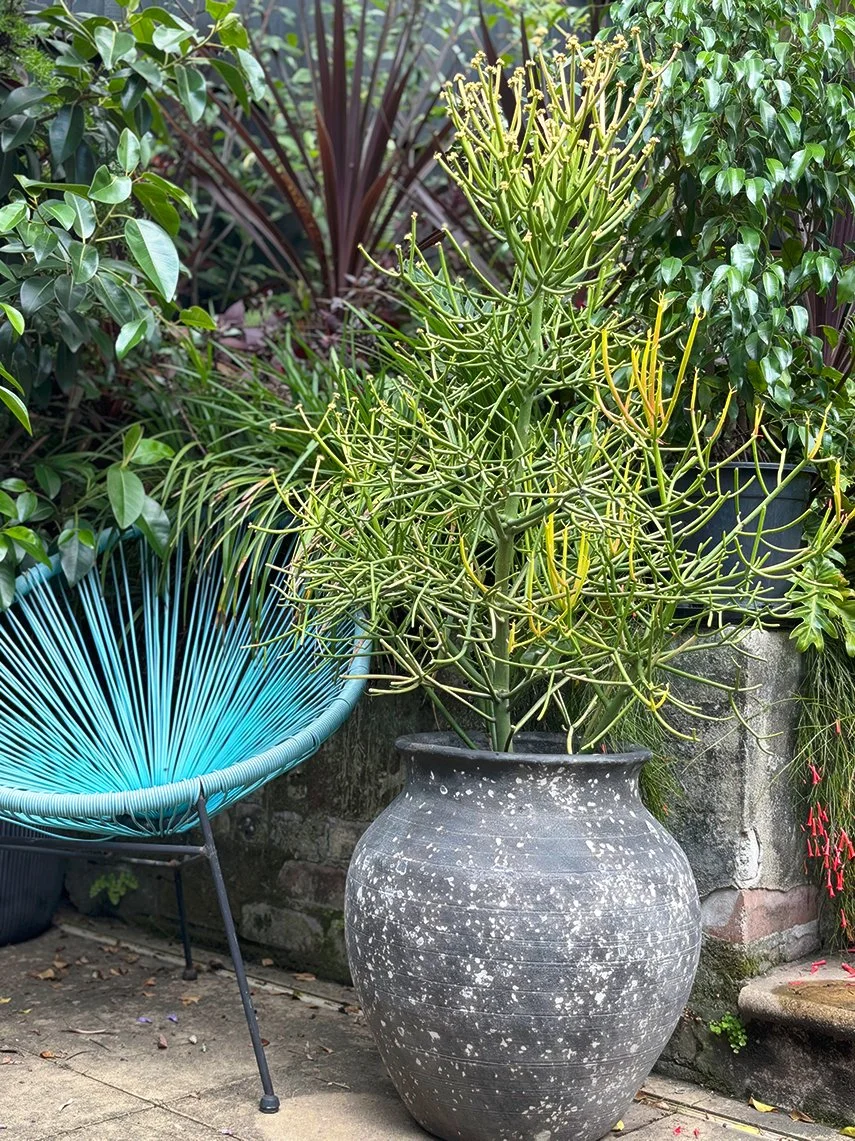 Outdoor_20pc.jpg