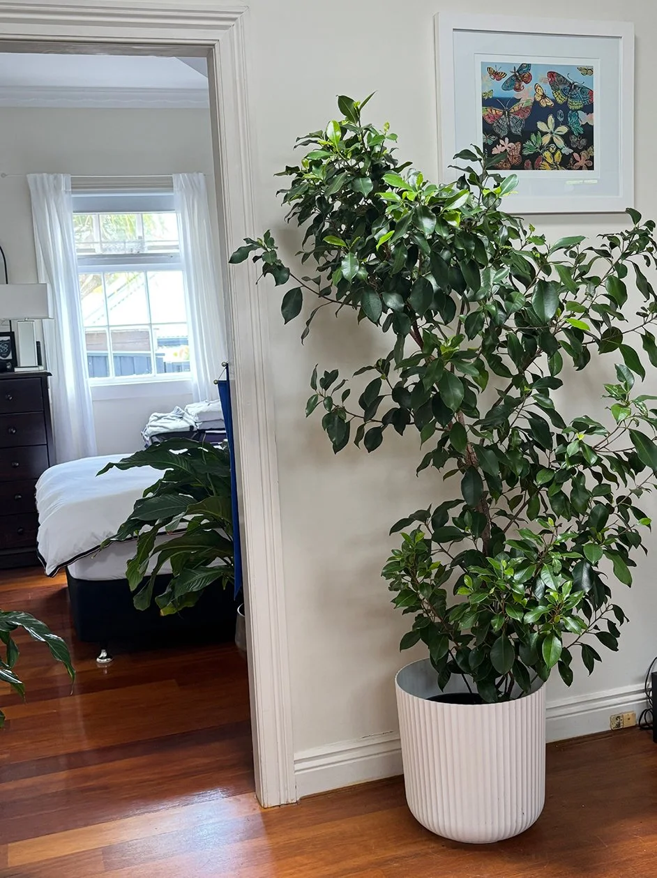 Indoor_22pc.jpg