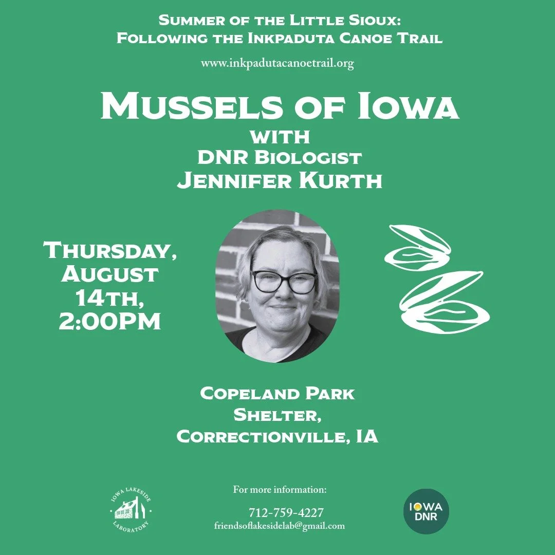 Mussels of Iowa