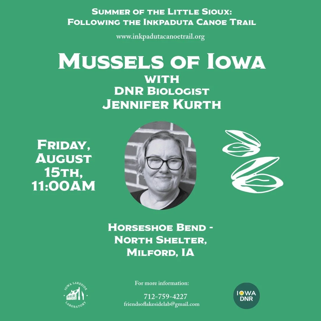 Mussels of Iowa
