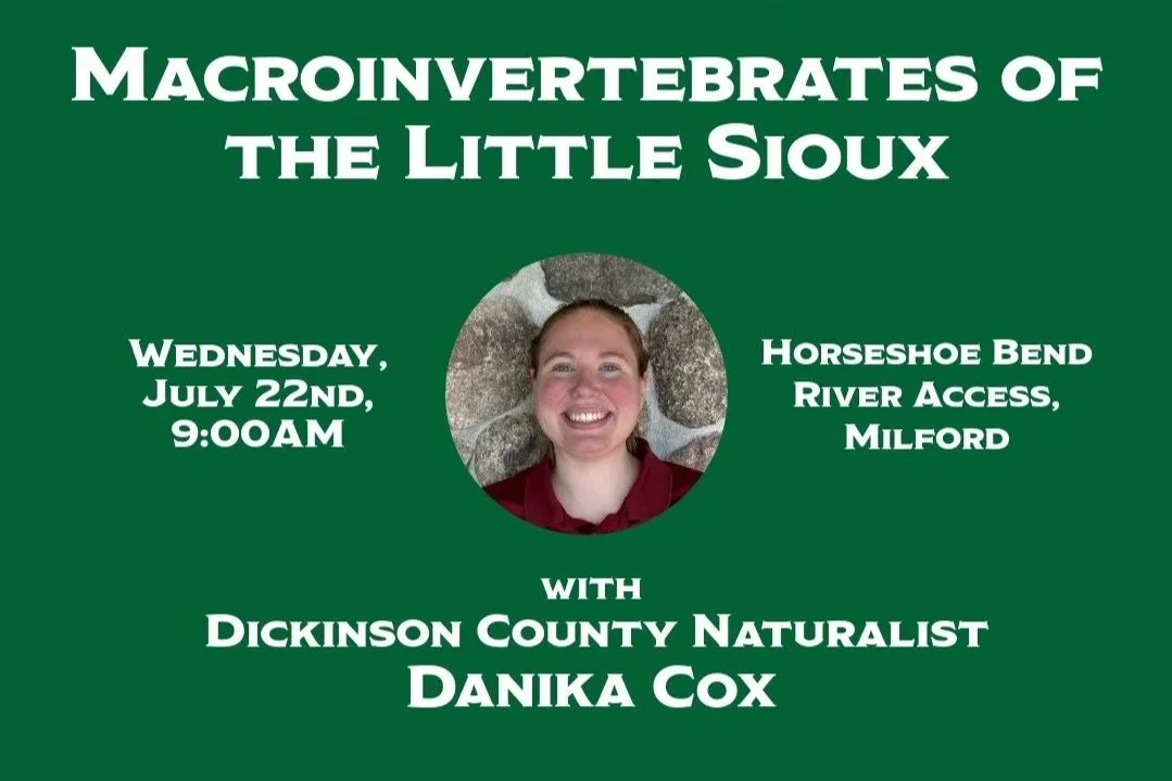 Macroinvertebrates of the Little Sioux with Danika Cox 