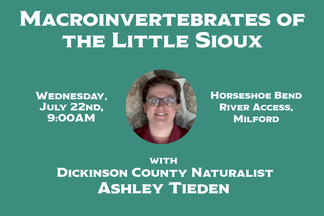Macroinvertebrates of the Little Sioux with Ashley Tieden