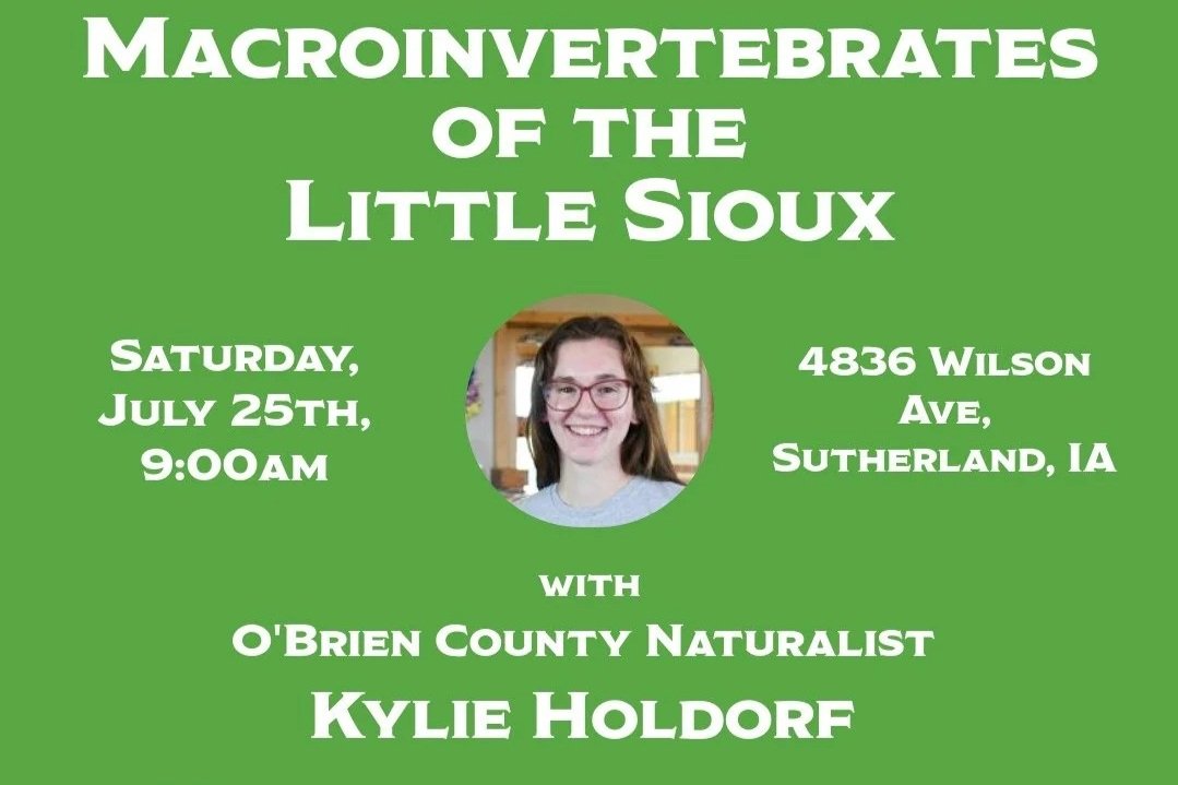Macroinvertebrates of the Little Sioux with Kylie Holdorf 
