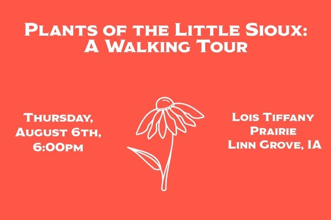 Plants of the Little Sioux: A Walking Tour 