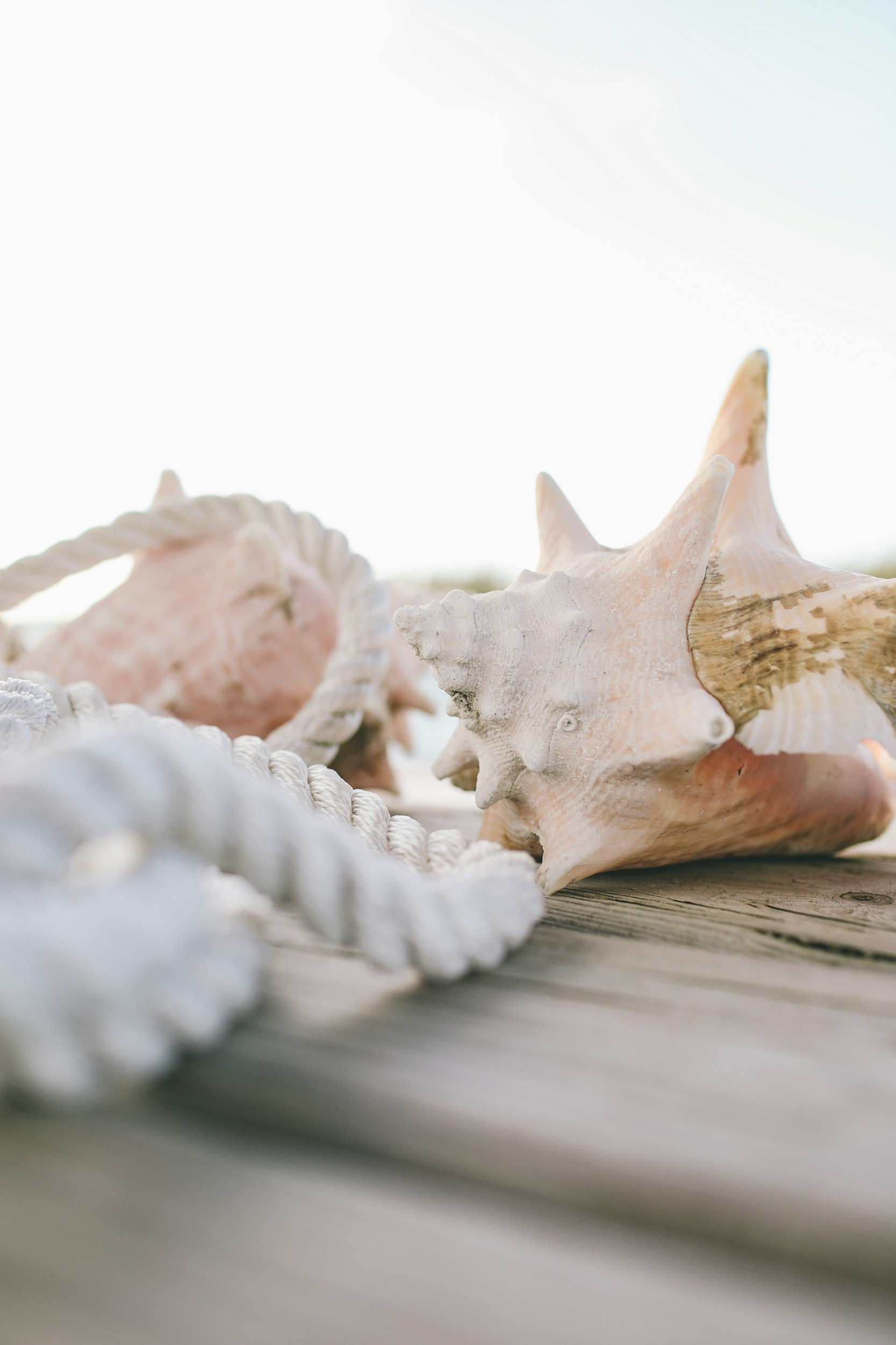 unsplash-image-yTcUtnzWBls.jpg