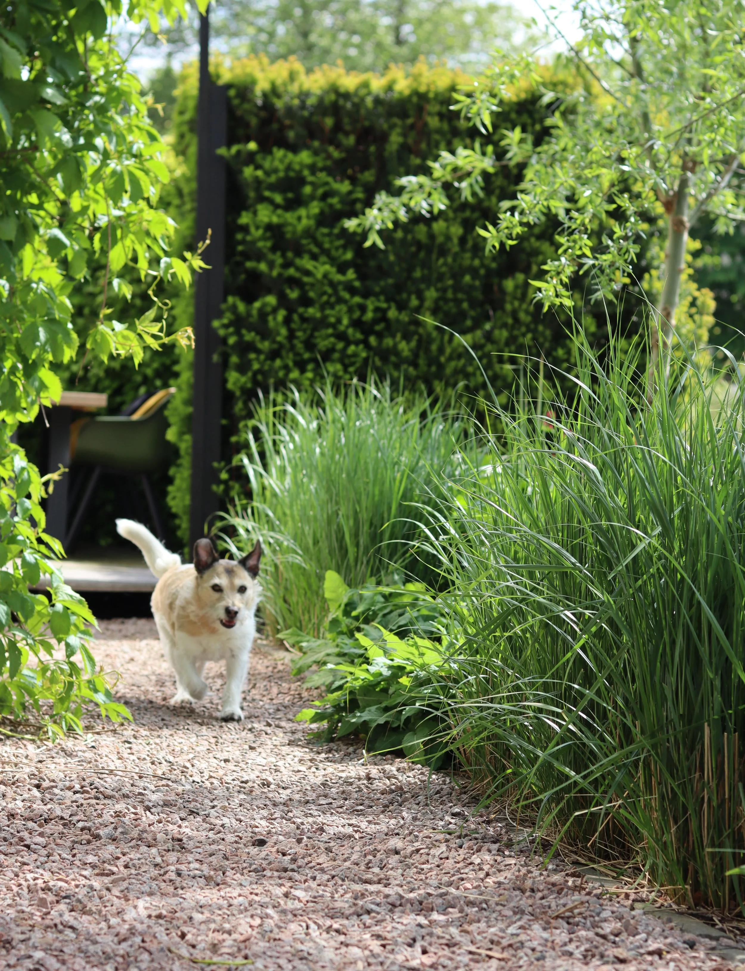 Garden Mantgum, Friesland