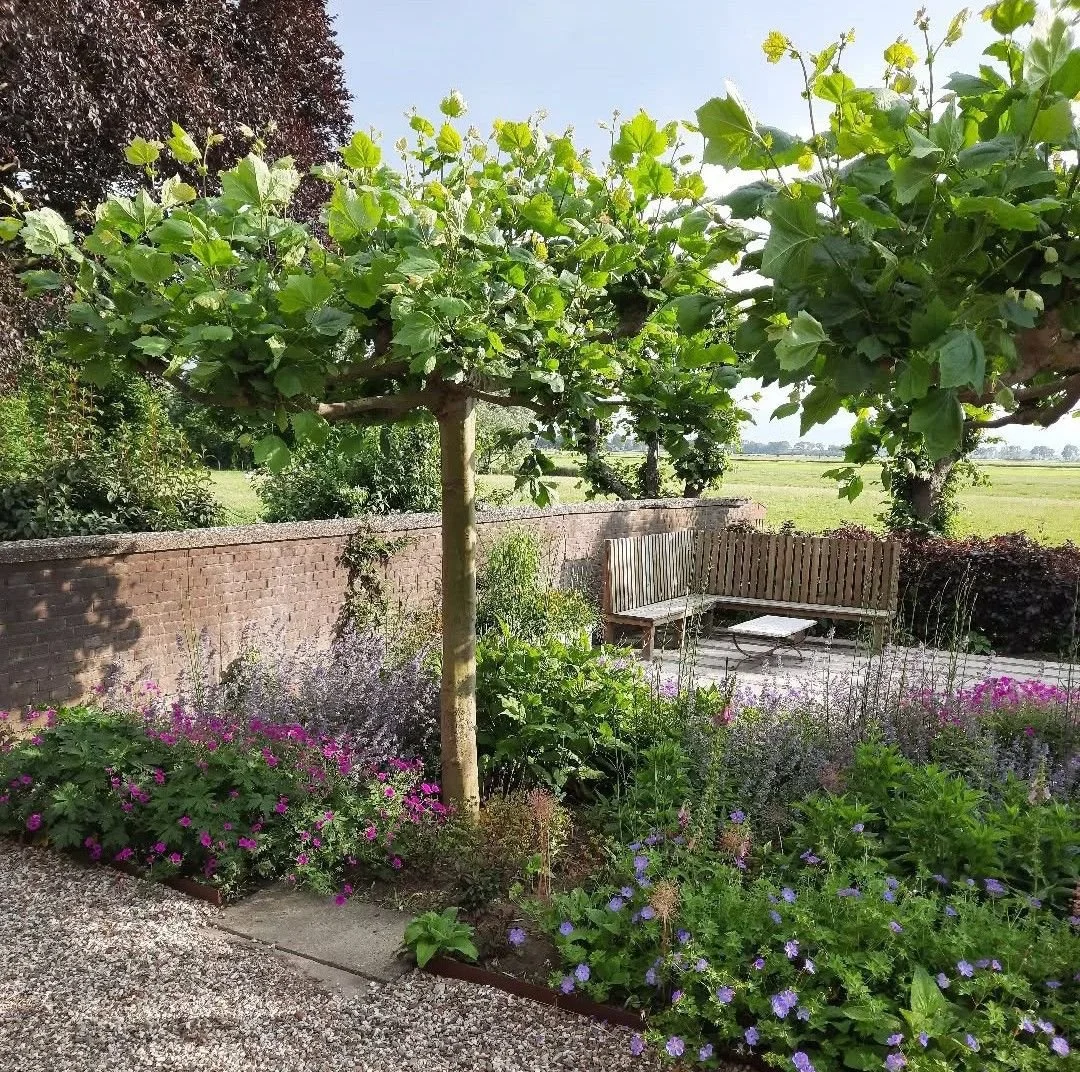 Realized farm garden. Design created with Nico Kloppenborg. Hatsum, Friesland. Photo by the owner.