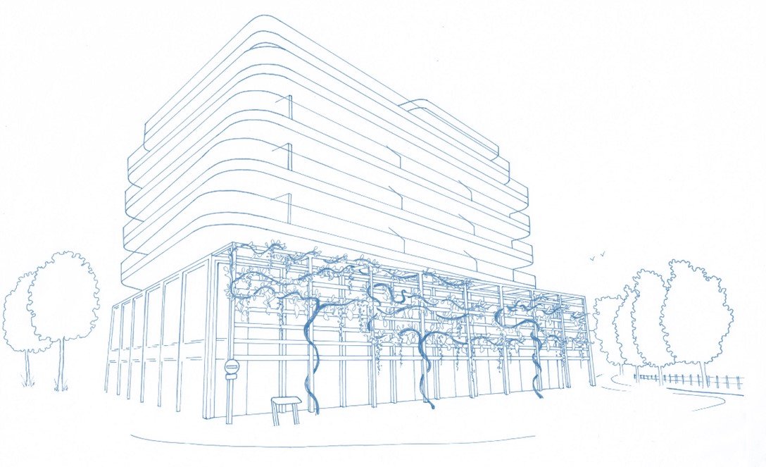Proposal for placing wisteria plants in front of the Amicitia building, Leeuwarden, Friesland. Realised in 2022