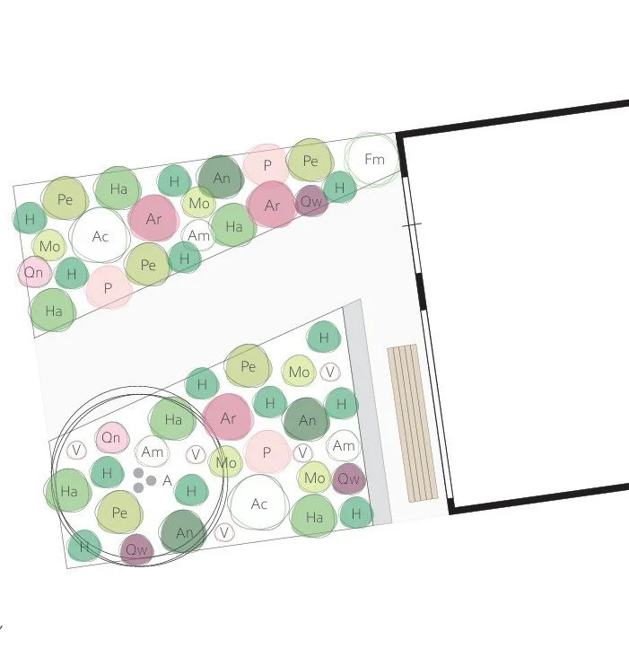 Plantingplan 2025, Friesland | Beplantingsplan