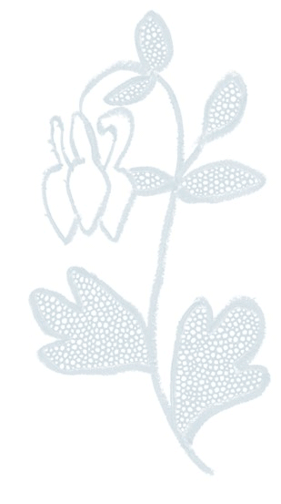 Akelei | Design Studio Amarins