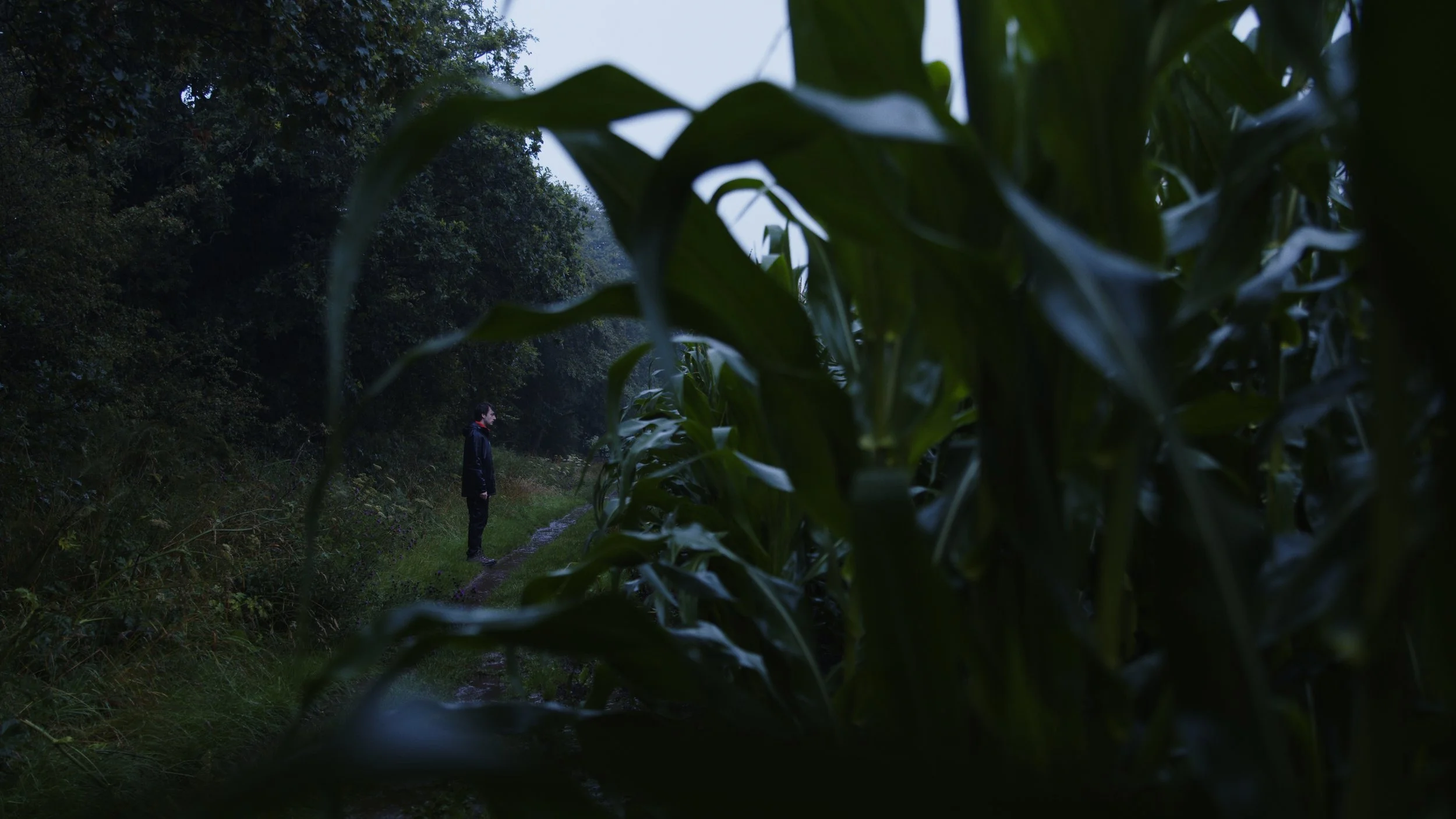 When it rains - Micro Short