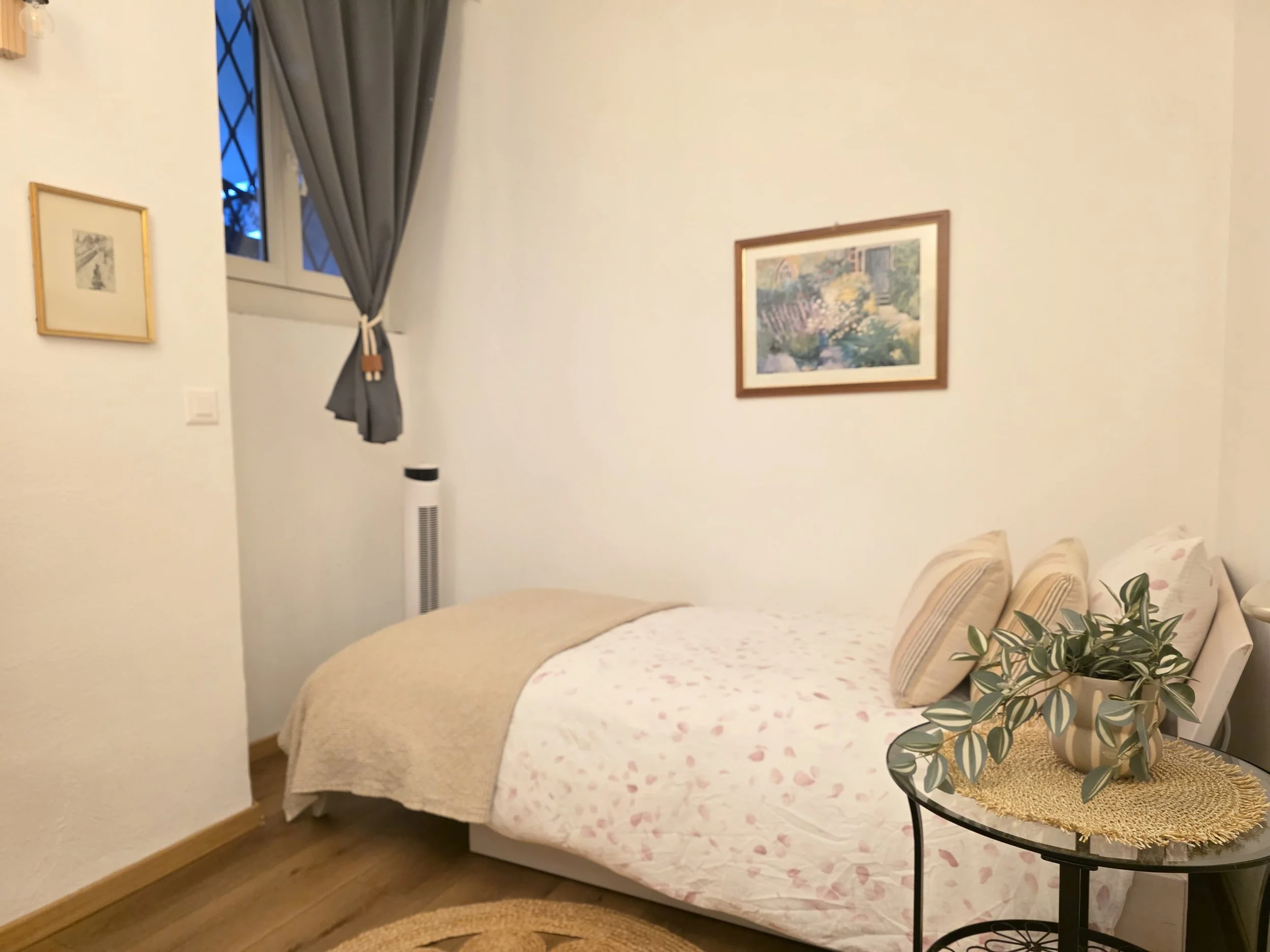 WhatsApp Image 2026-02-10 at 09.20.35 (2).jpeg