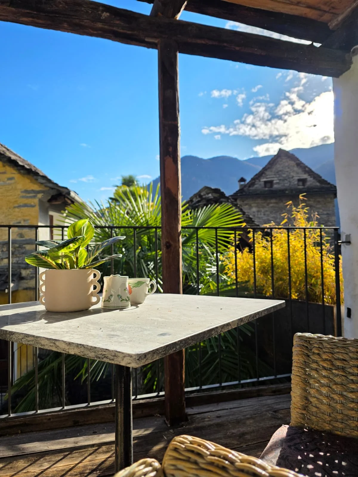 WhatsApp Image 2025-12-12 at 3.20.42 PM (3).jpeg