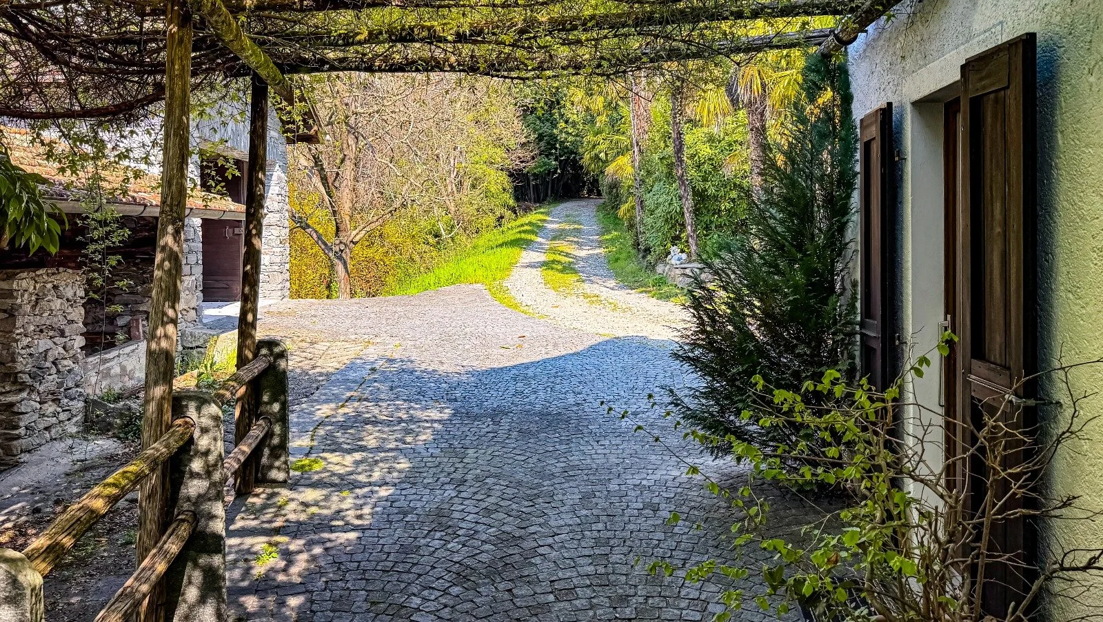 WhatsApp Image 2026-03-26 at 7.21.09 AM (97).jpeg