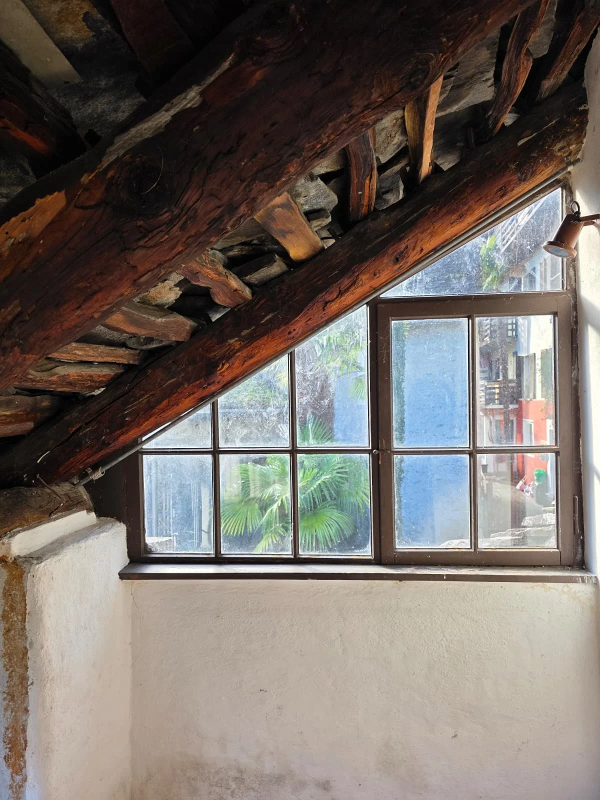 WhatsApp Image 2025-12-12 at 3.20.41 PM (1).jpeg