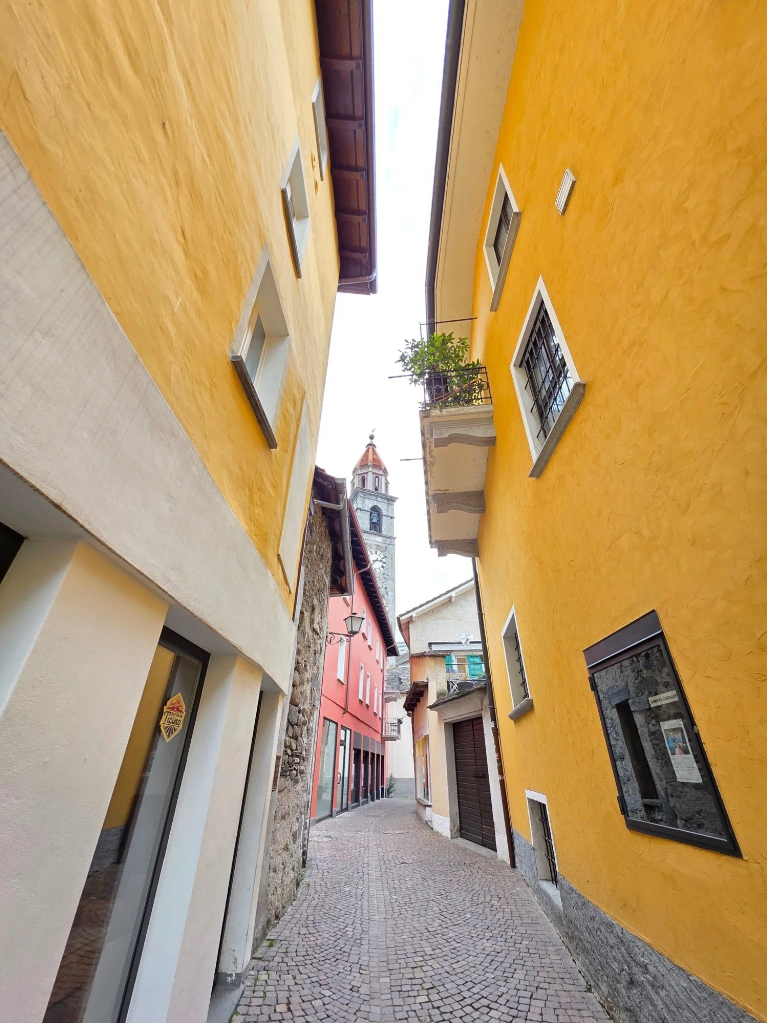 21 vert_converted.jpg