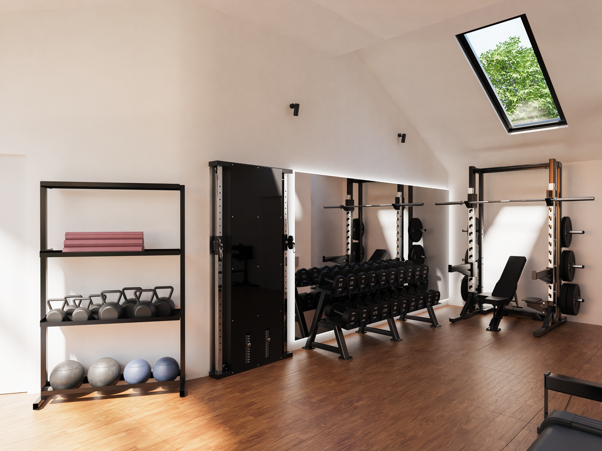 Home Gym Lyzzie - Render.28-edited.png
