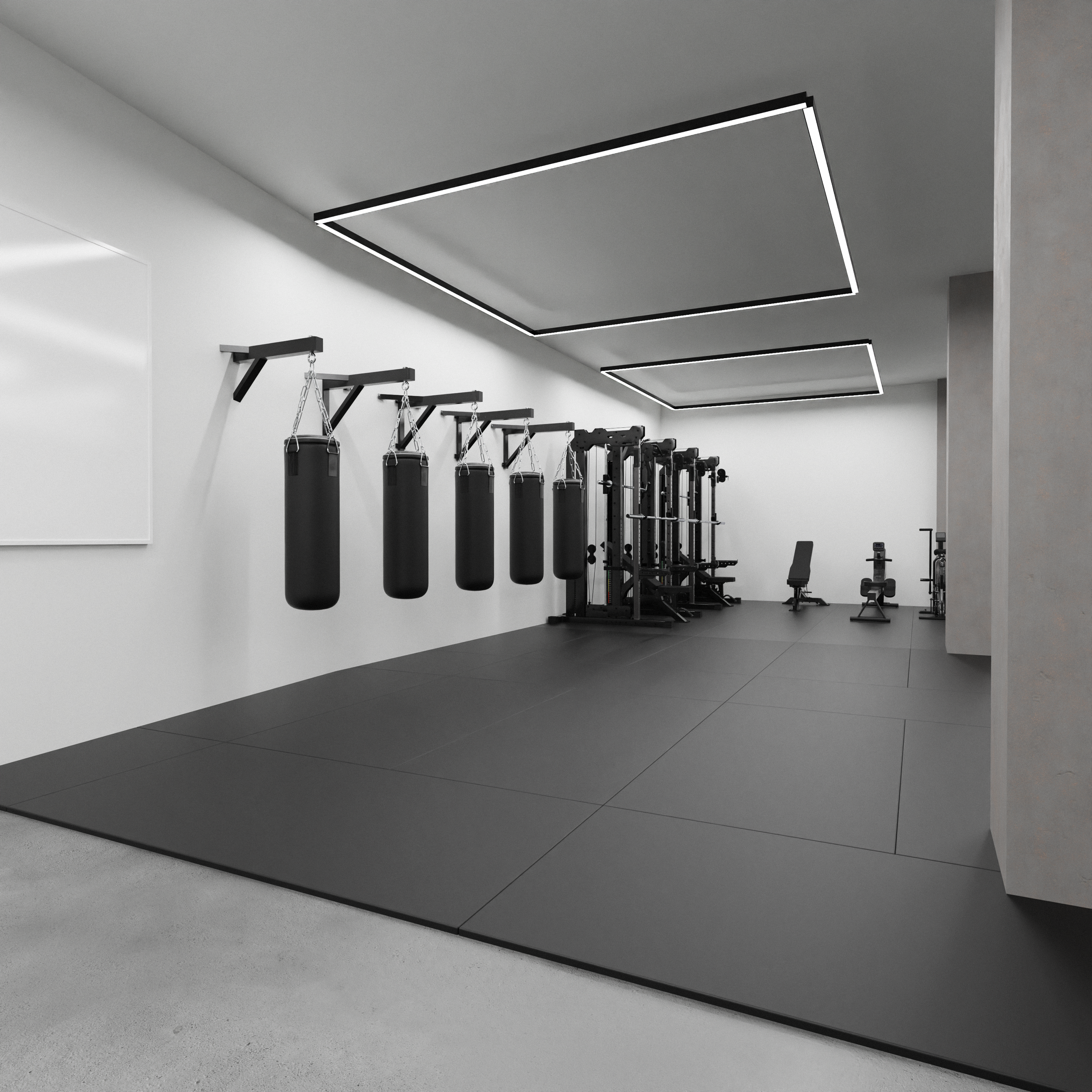 DELUXEGYMS - Ralph Willem Renders.1-edit.png