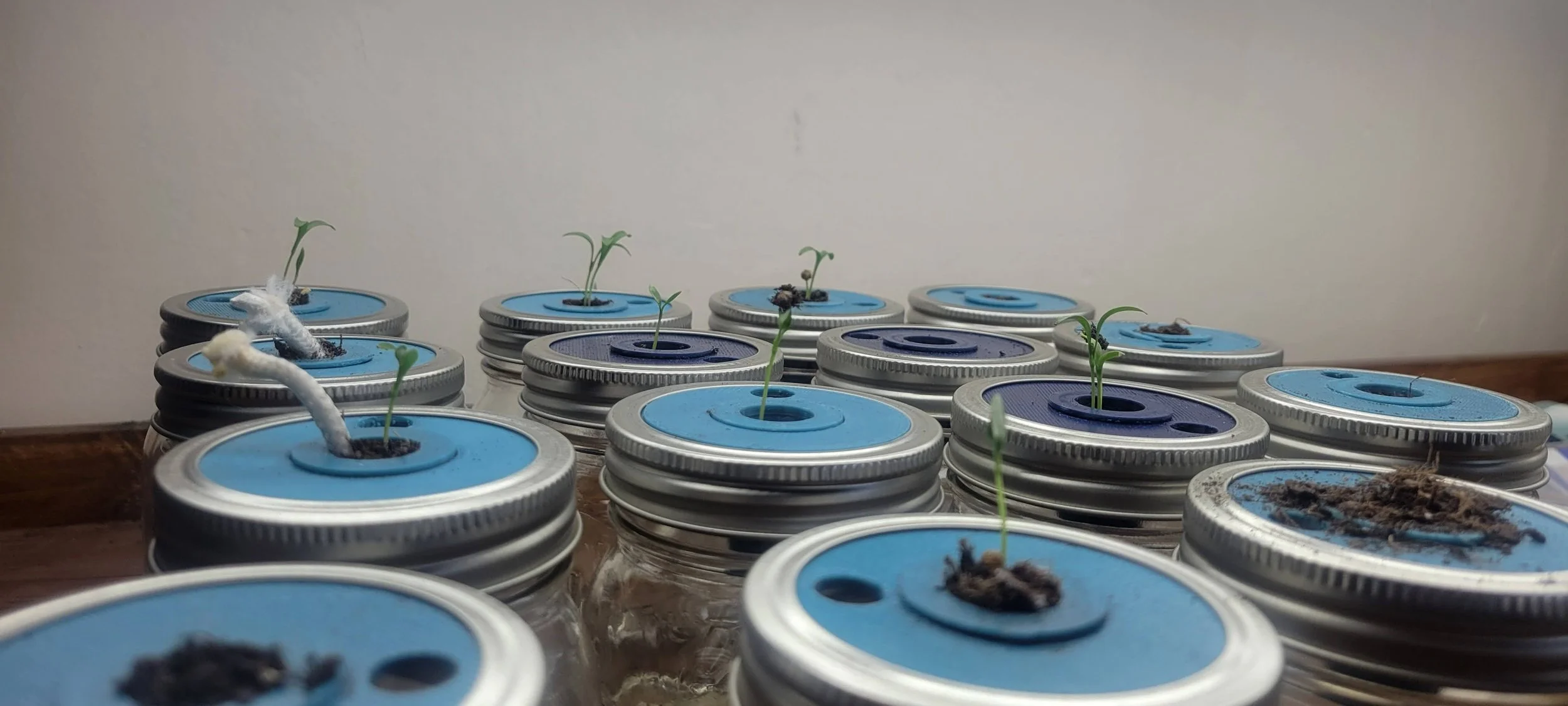 Aquaponic Mason Jar ($15 each)