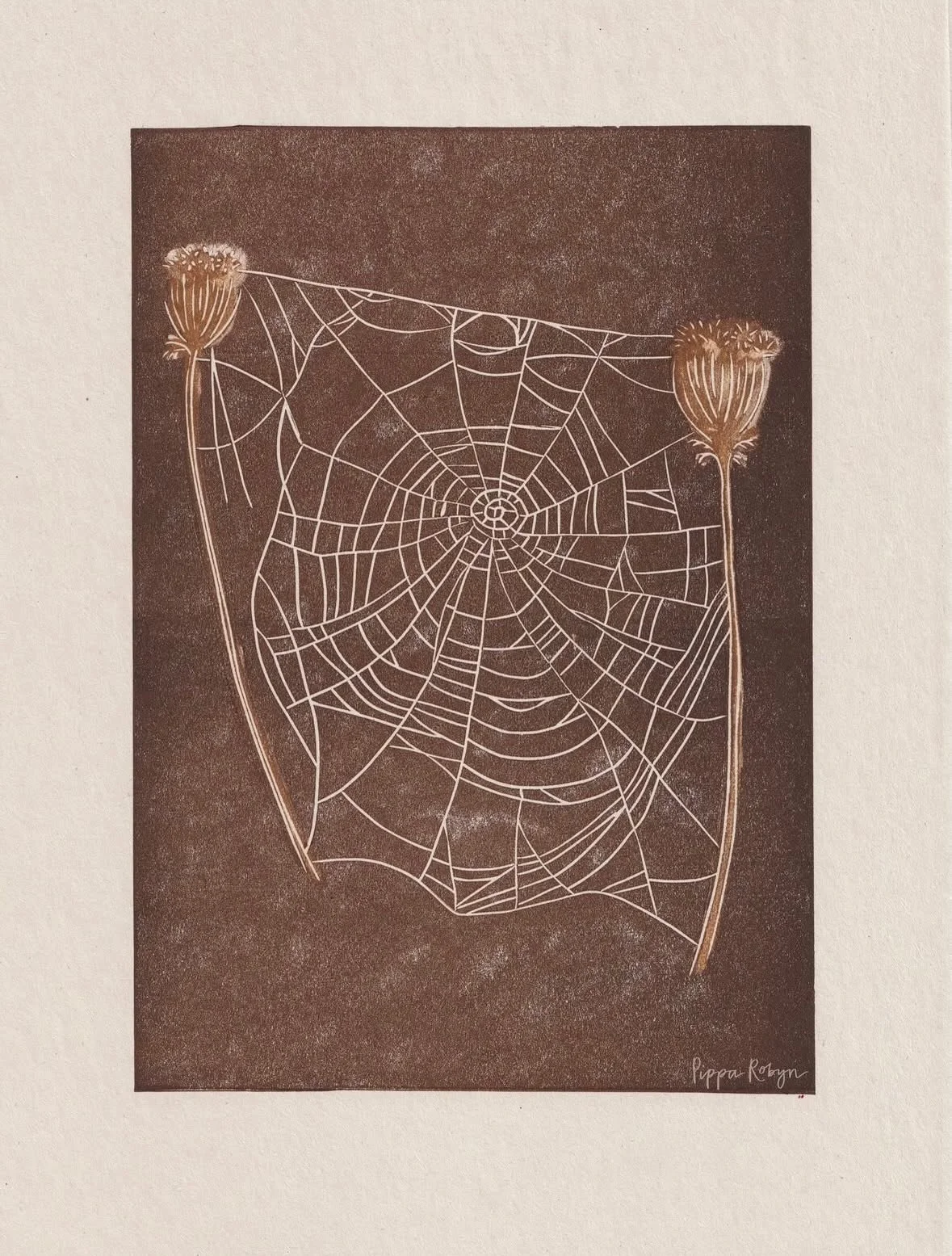 Saturday 7th March we&rsquo;re delighted to welcome so many new faces to our creative community 💛
Introducing fresh passions, skills and exciting new additions!

Including @pipparobyn , a talented illustrator &amp; printmaker inspired by the natural