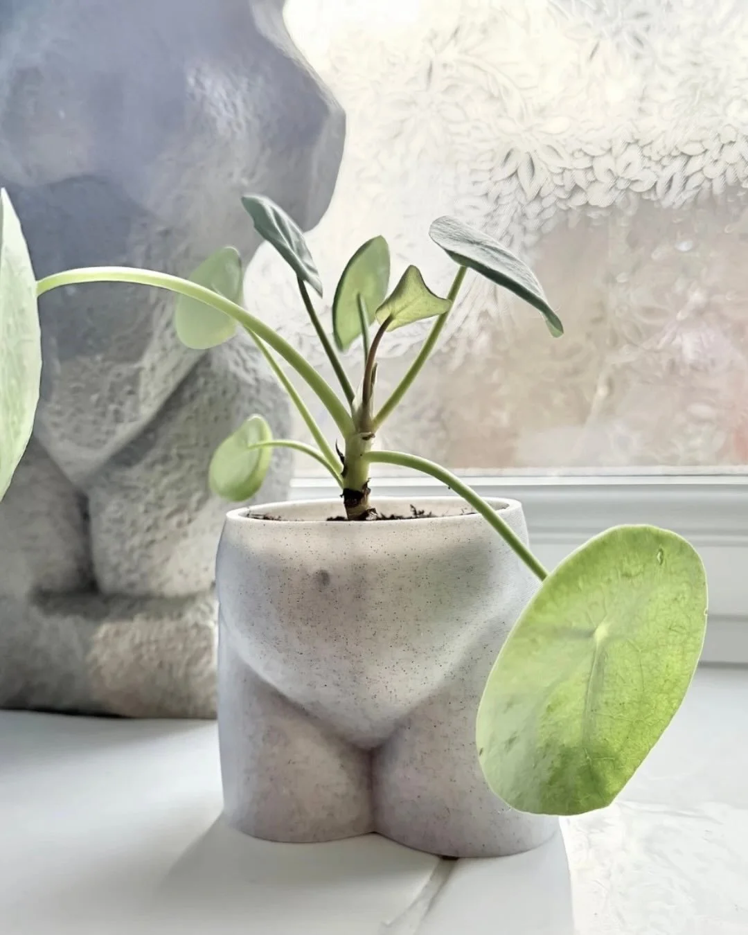 They&rsquo;re back! 🙌

@creat3d.lab returns on Saturday 6th June with their signature mix of 3D printed art, fun homeware &amp; playful accessories ✨

Shop their full collection, or order something personal, with engraved pieces. 

📍 Unitarian Meet