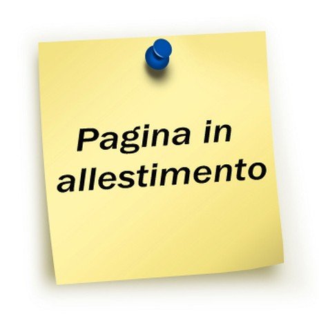 paagina in allenstimento.jpg