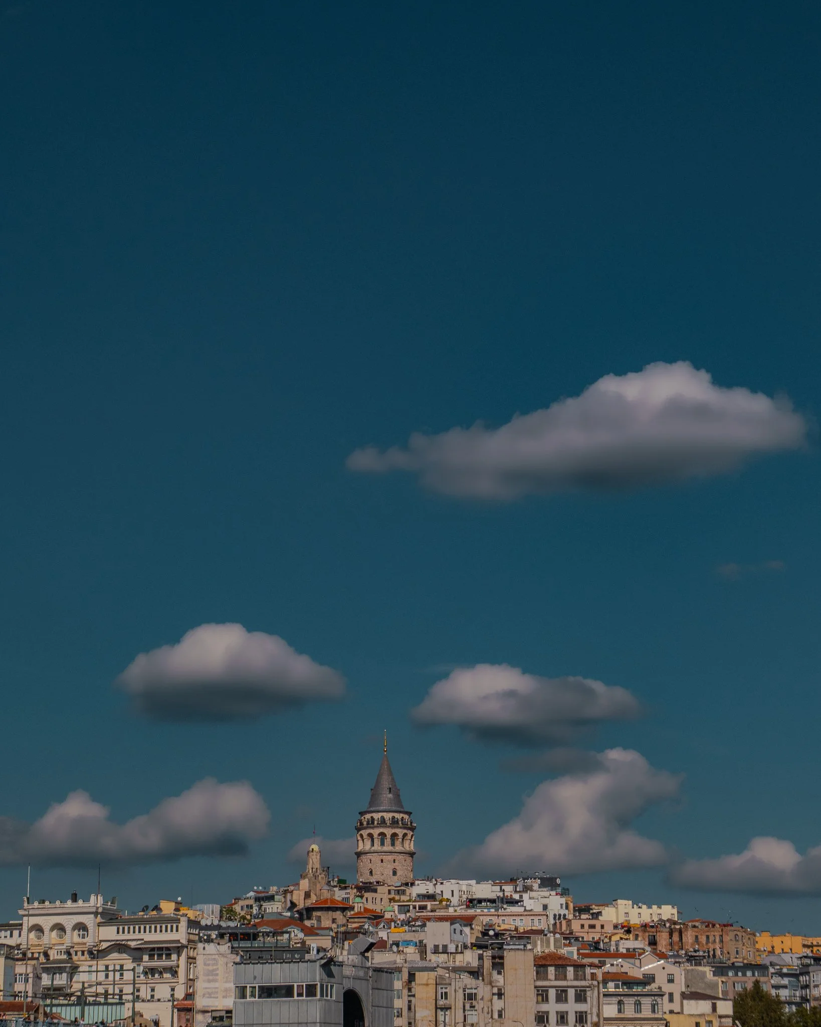 L1022181-2.jpg