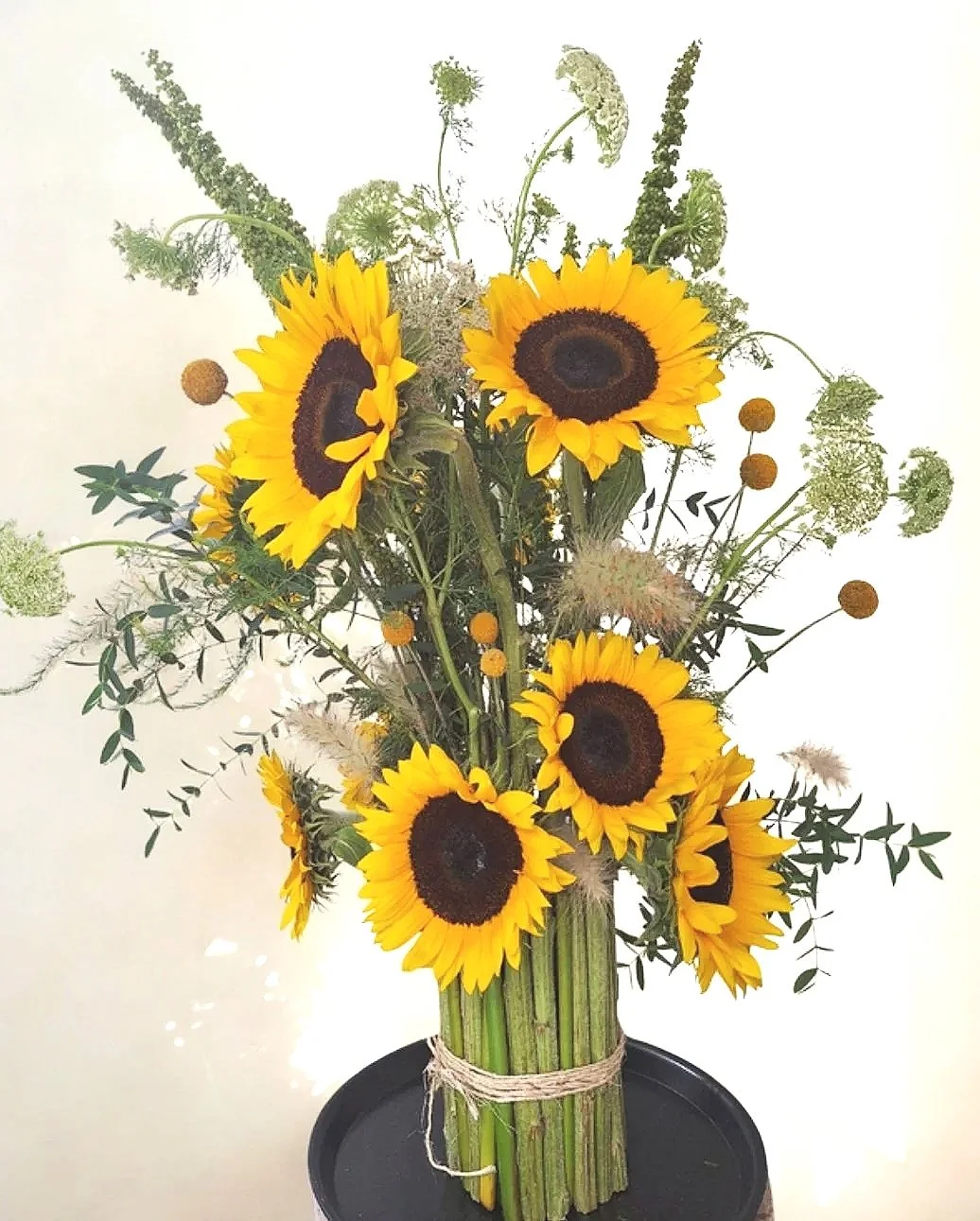 Girasoles en movimiento