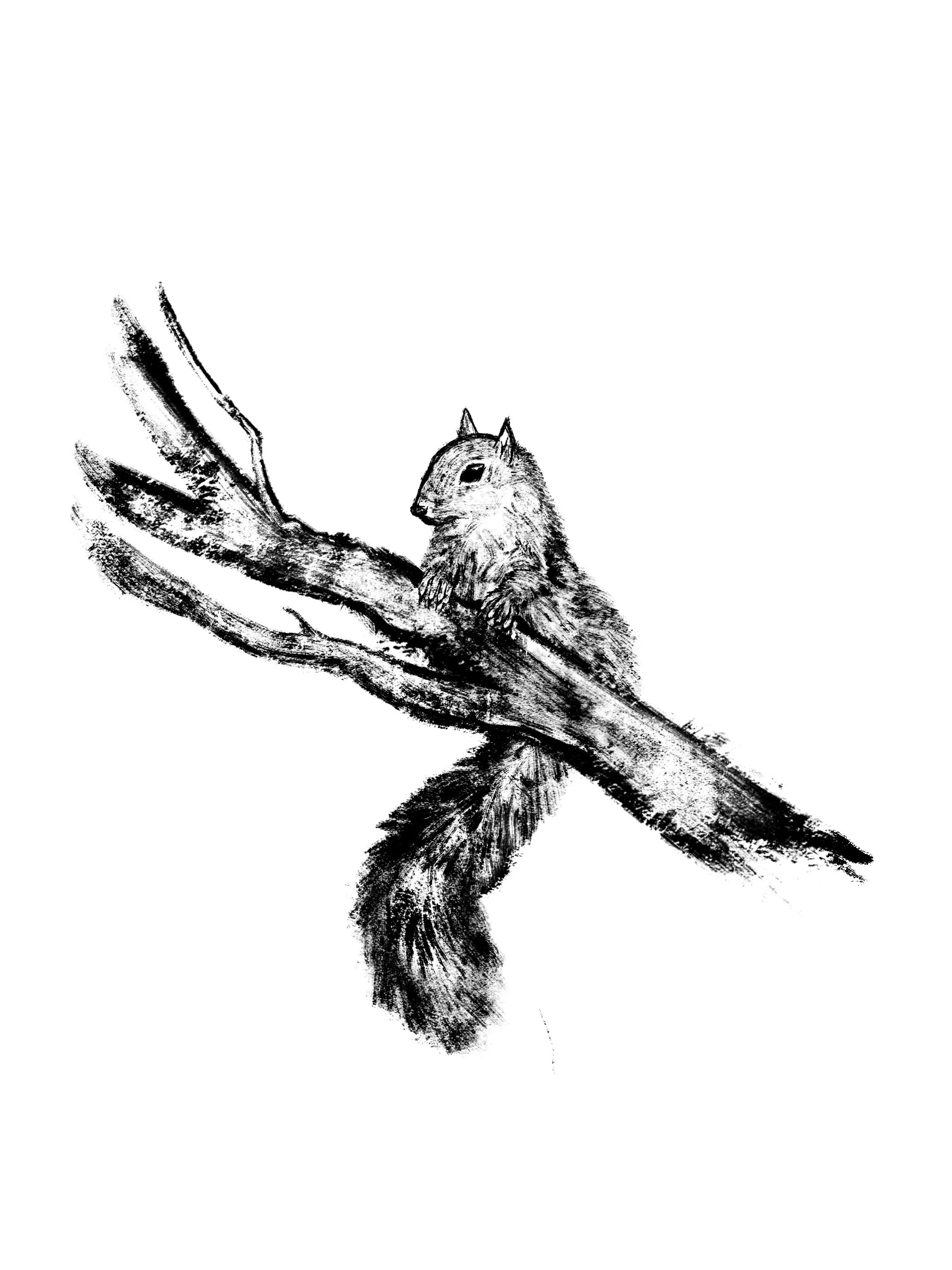 Chapter_4_Squirrel.jpg