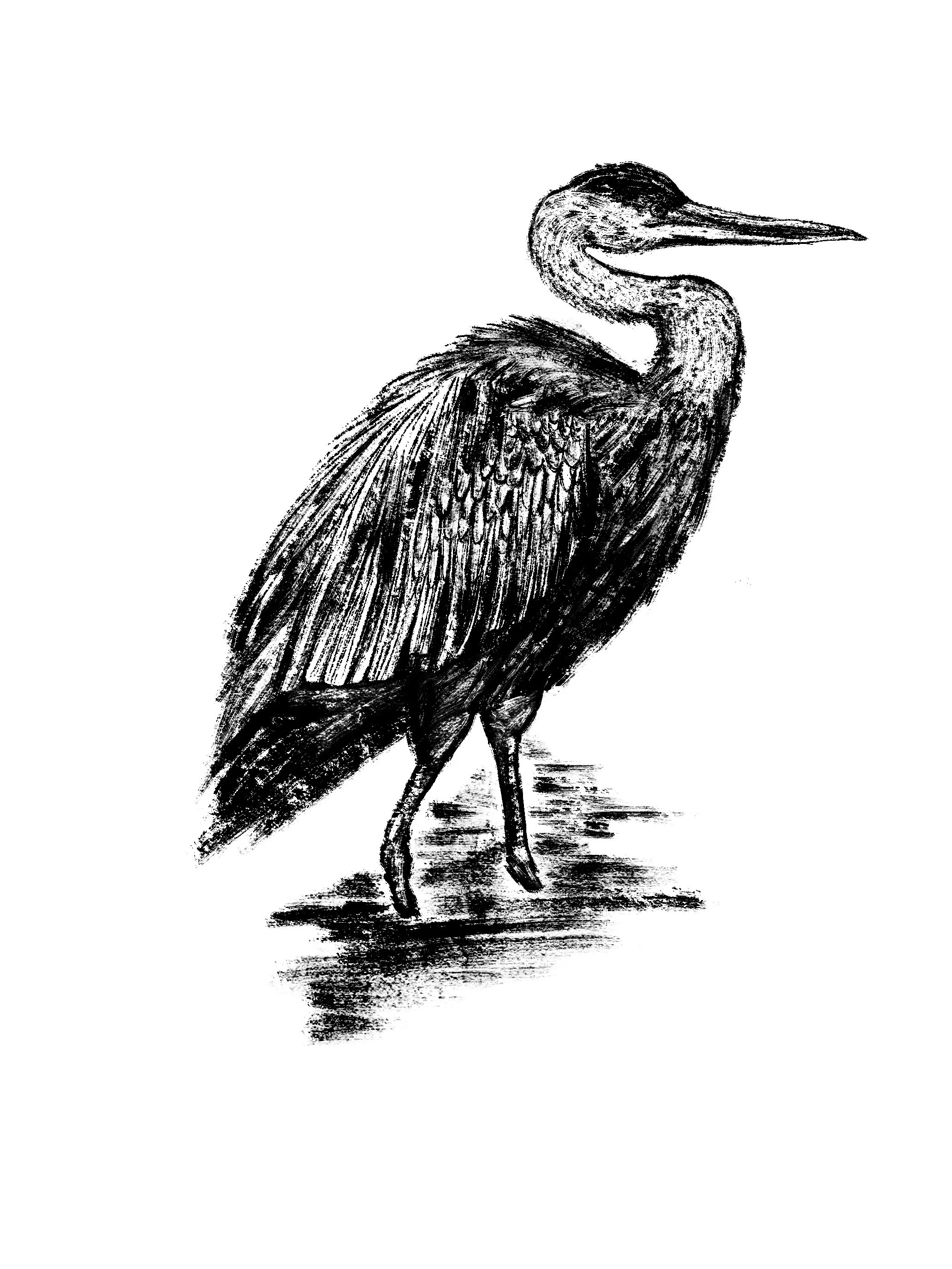 Chapter_1_Heron.jpg
