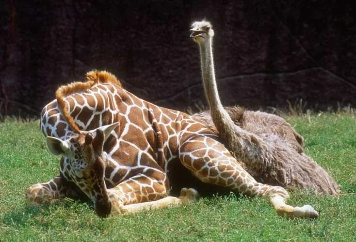 Why Empathy Might Just Be Your Best Legal Strategy (Yes, Really!)