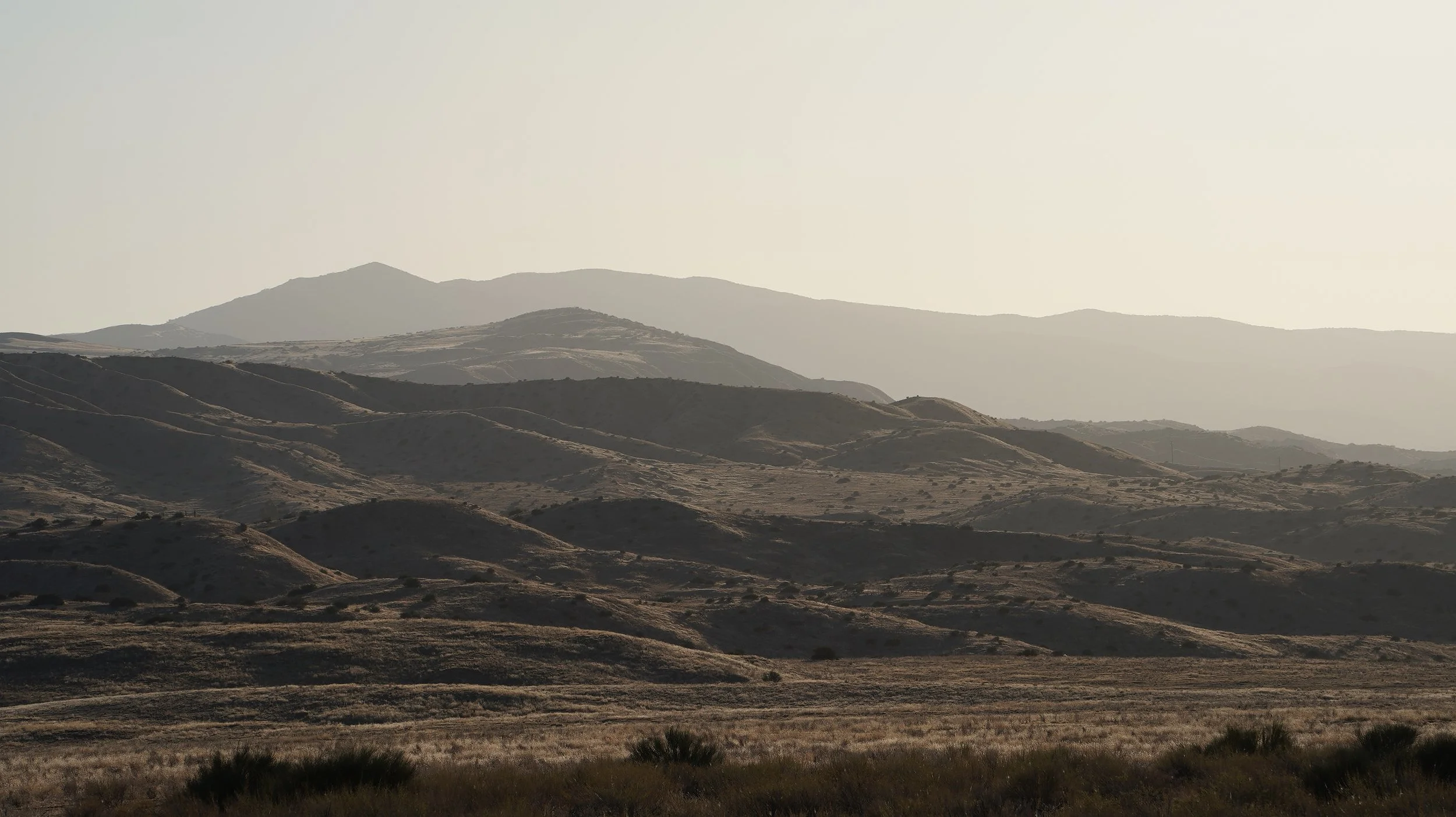LAS07500.JPG