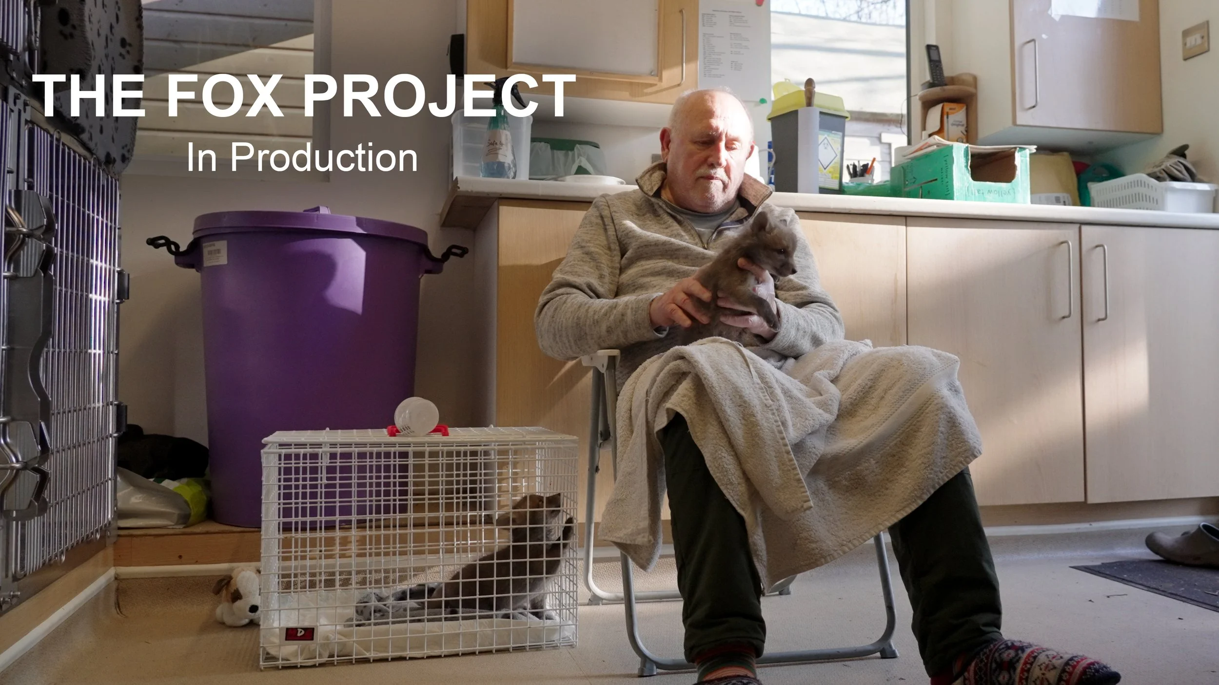 The Fox Project - In Production