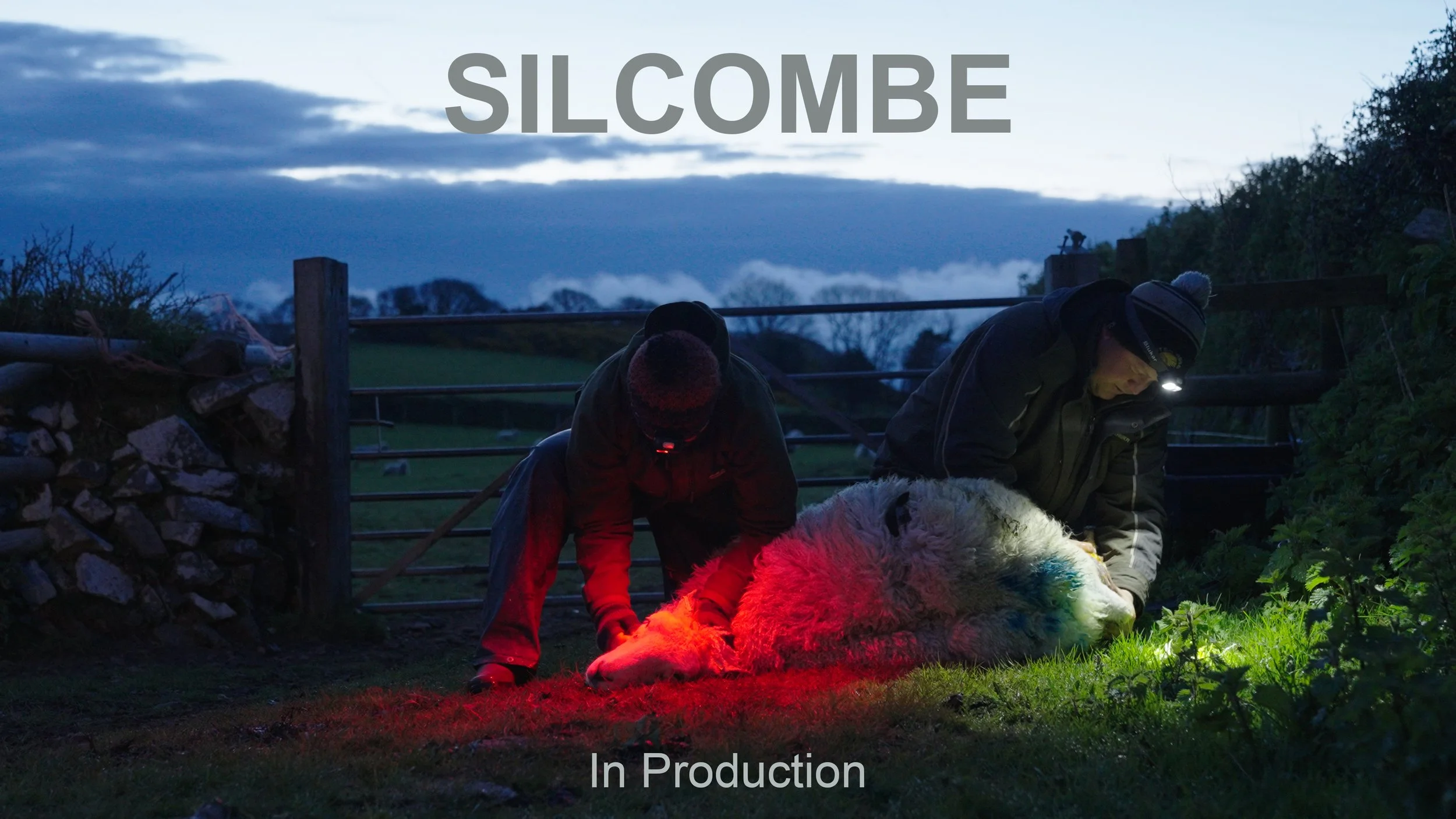 Silcombe - In Production